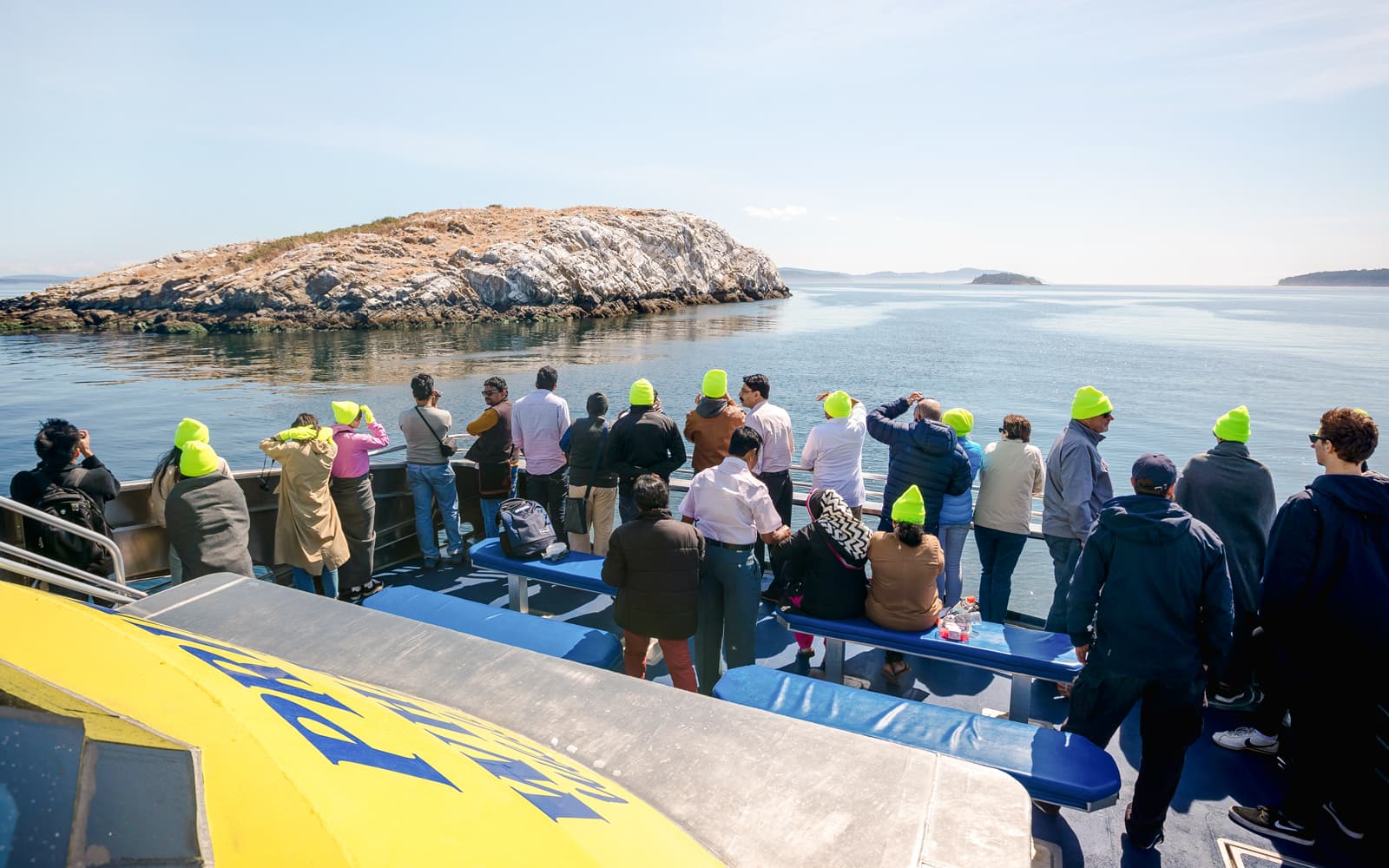 Vancouver Whale Watching Tour tickets in Vancouver - Attractions | TickYourList