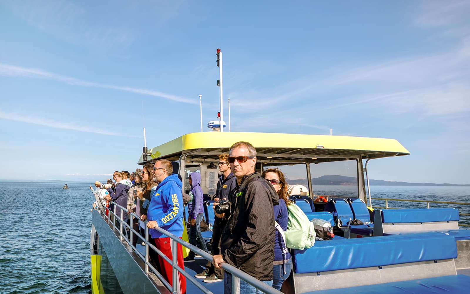 Vancouver Whale Watching Tour tickets in Vancouver - Activities | TickYourList