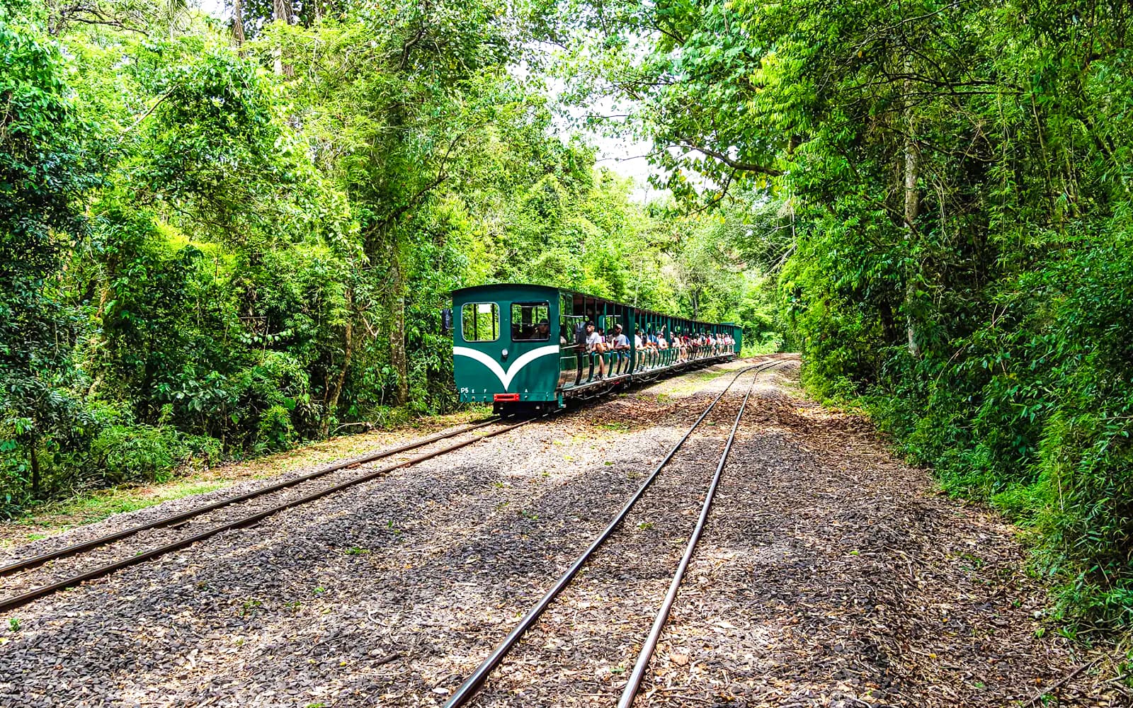 From Puerto Iguazú: Argentina/Brazil Iguazú Falls Tours with Entry, Transfers & Optional Boat Ride tickets in Puerto Iguazú - Features | TickYourList