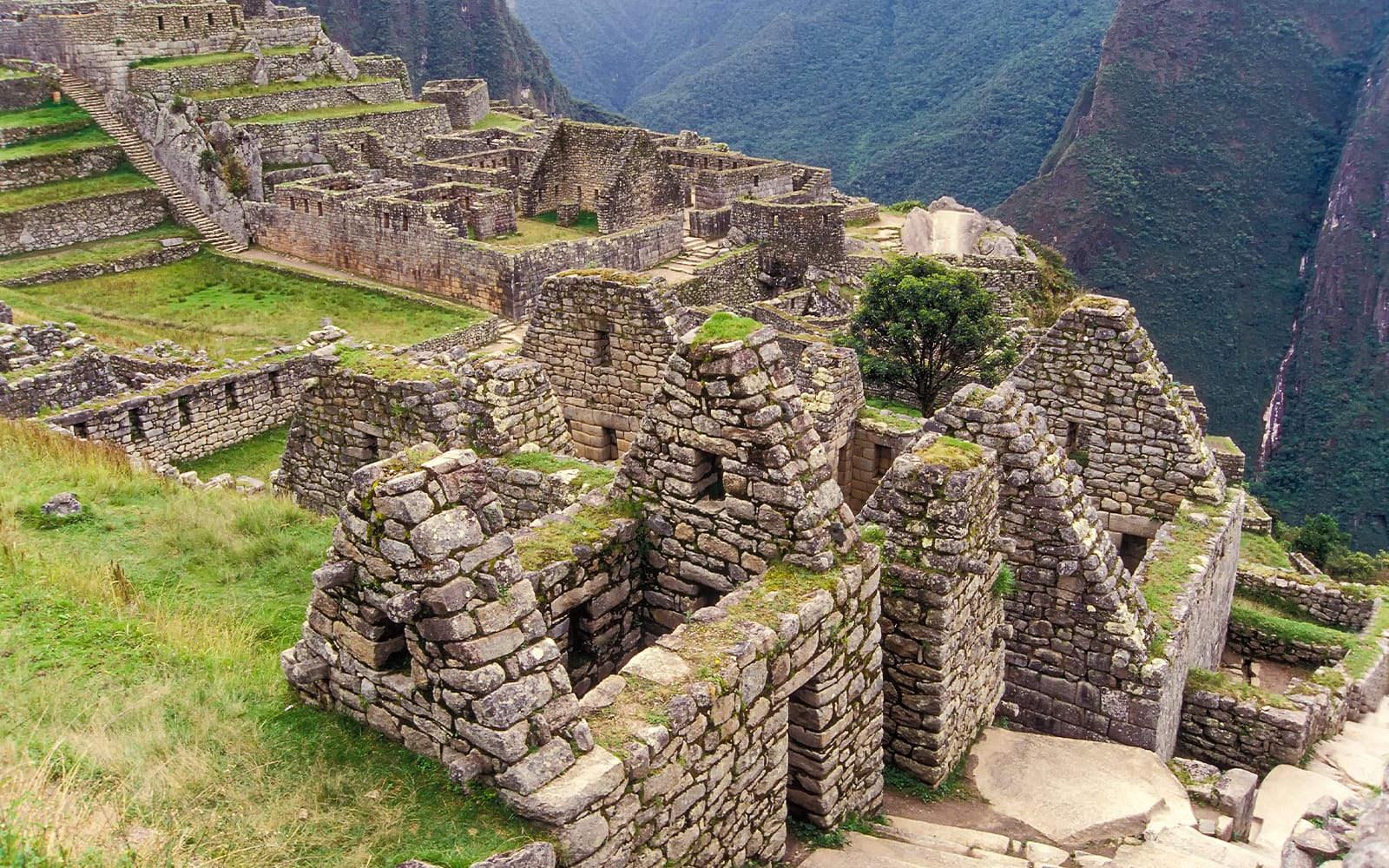 From Cusco: Machu Picchu Day Trip tickets in Cusco - Attractions | TickYourList
