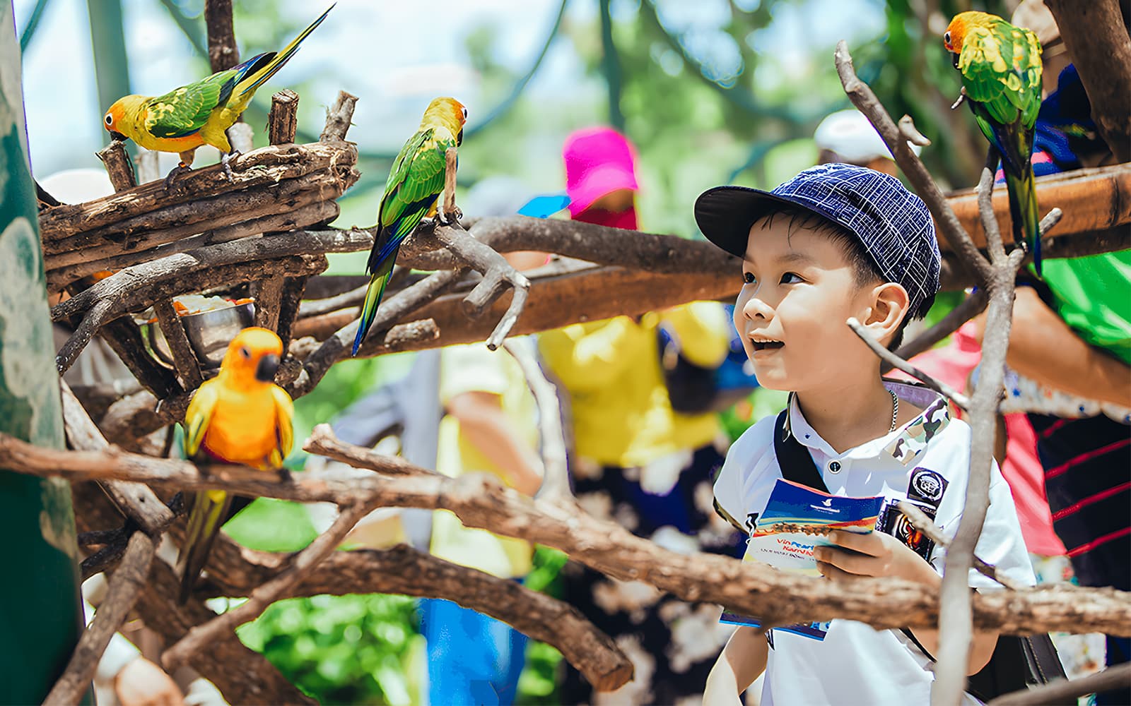 Tickets to Vinwonders Nam Hoi An Theme Park in Da Nang - Features | TickYourList