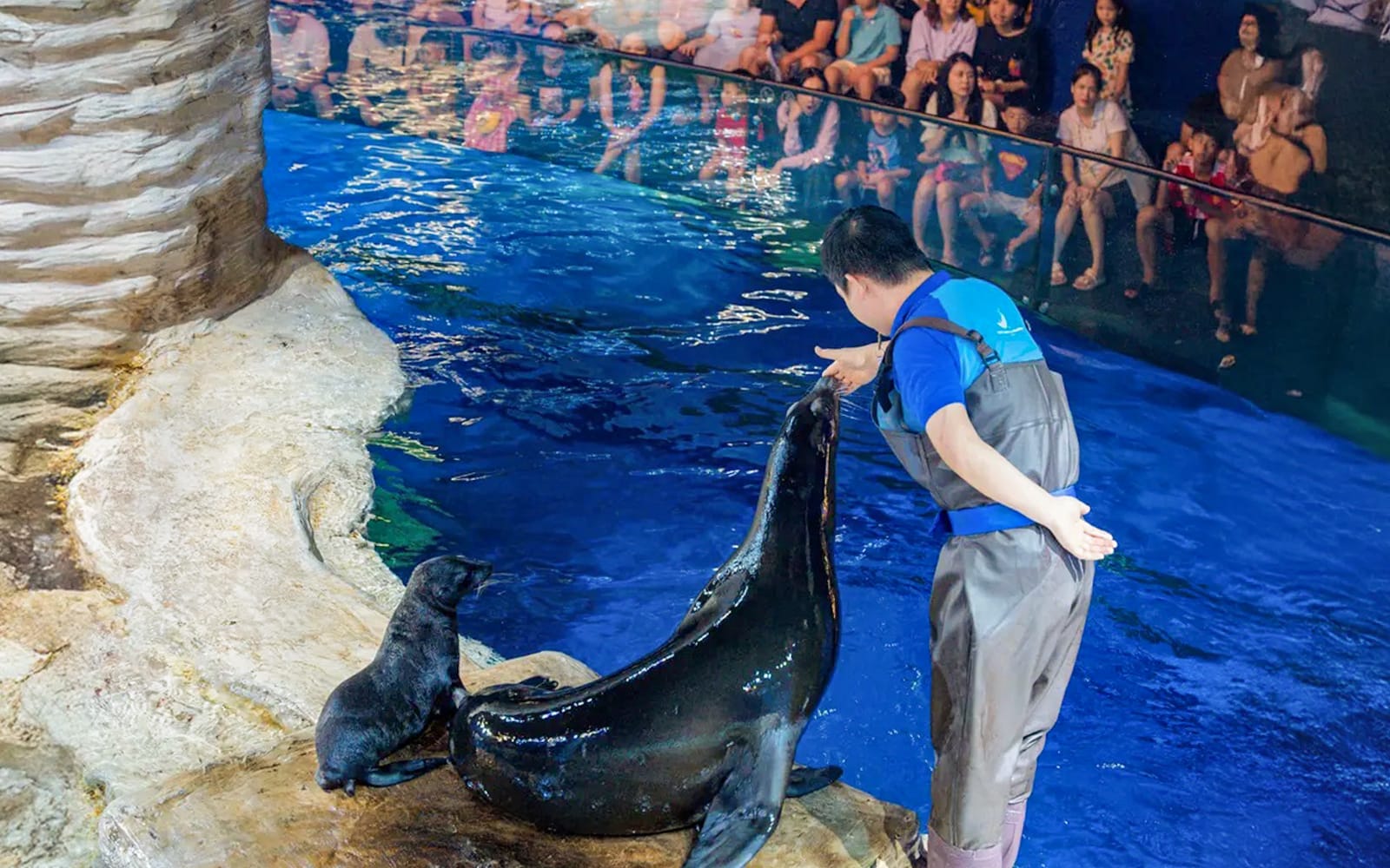 Lotte World Aquarium Hanoi Tickets in Hanoi - Highlights | TickYourList