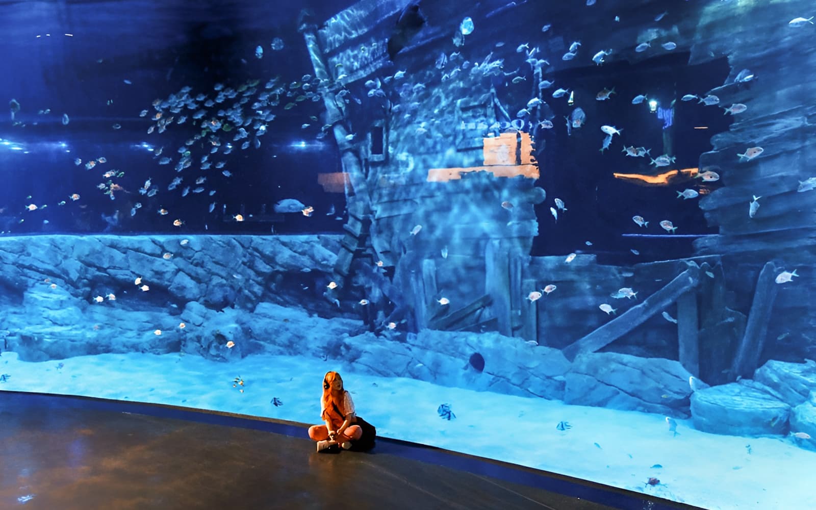 Lotte World Aquarium Hanoi Tickets in Hanoi - Features | TickYourList