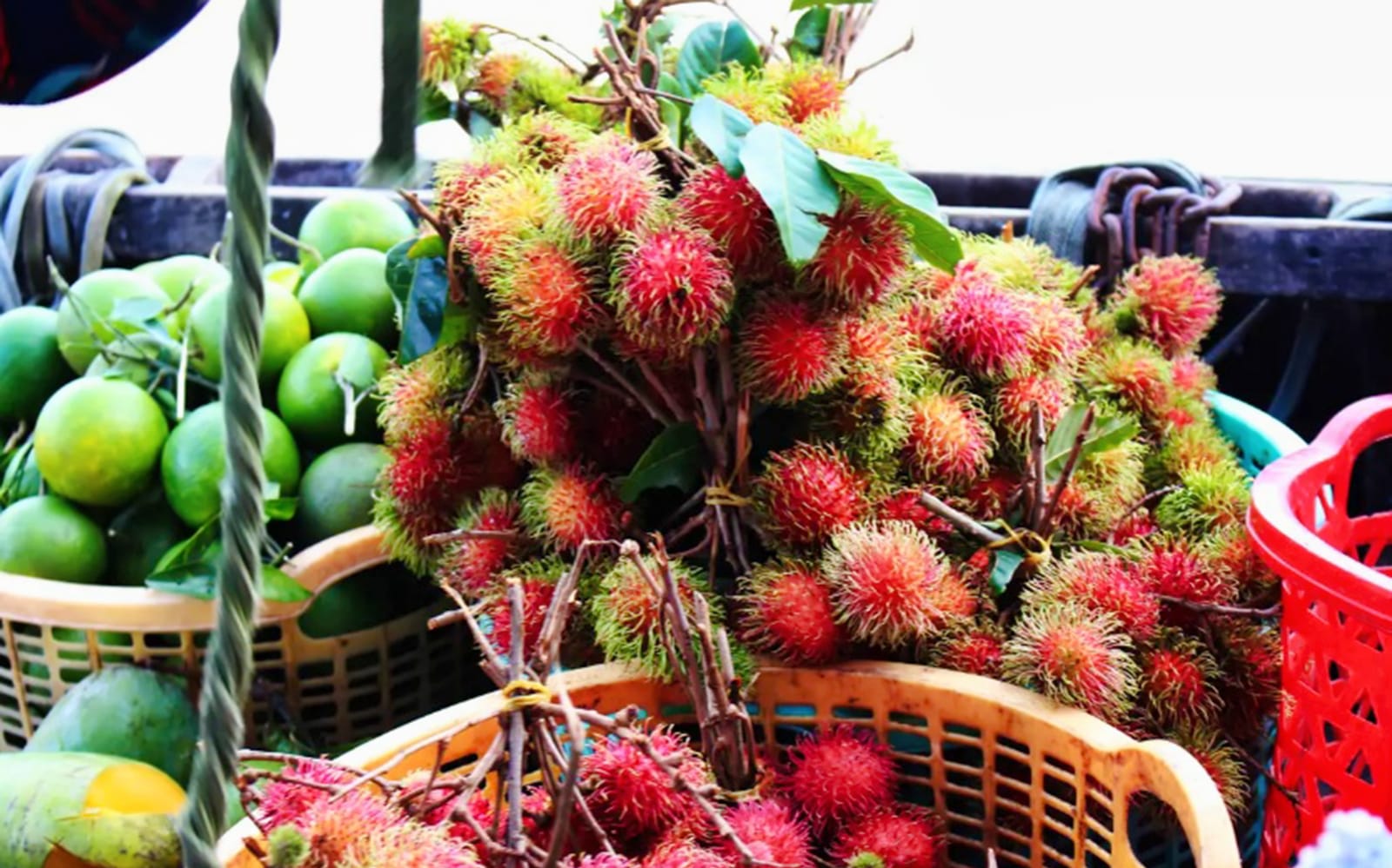 2D1N Mekong Delta with Floating Market Guided Tour tickets in Ho Chi Minh City - Discover | TickYourList