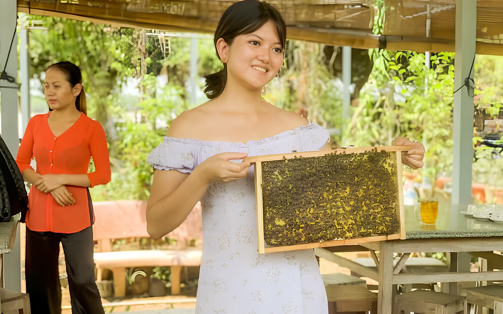 Guided Day Tour of the Mekong Delta from Ho Chi Minh with Lunch tickets in Ho Chi Minh City - Highlights | TickYourList