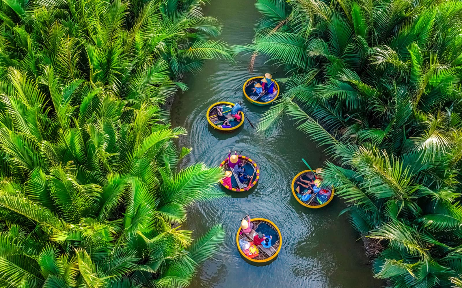 Coconut Forest Basket Boat Ride with Hoi An Memories Show Tickets in Hoi An - Attractions | TickYourList