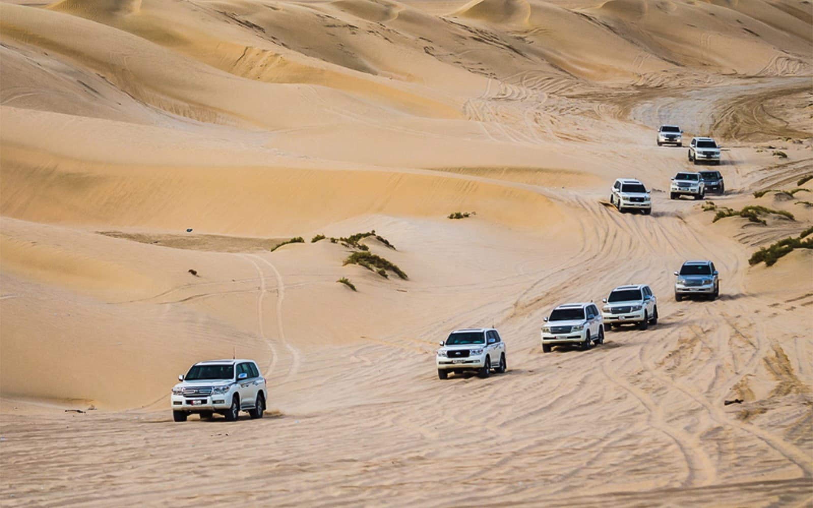 Doha Half-Day Desert Safari tickets in Doha - Highlights | TickYourList