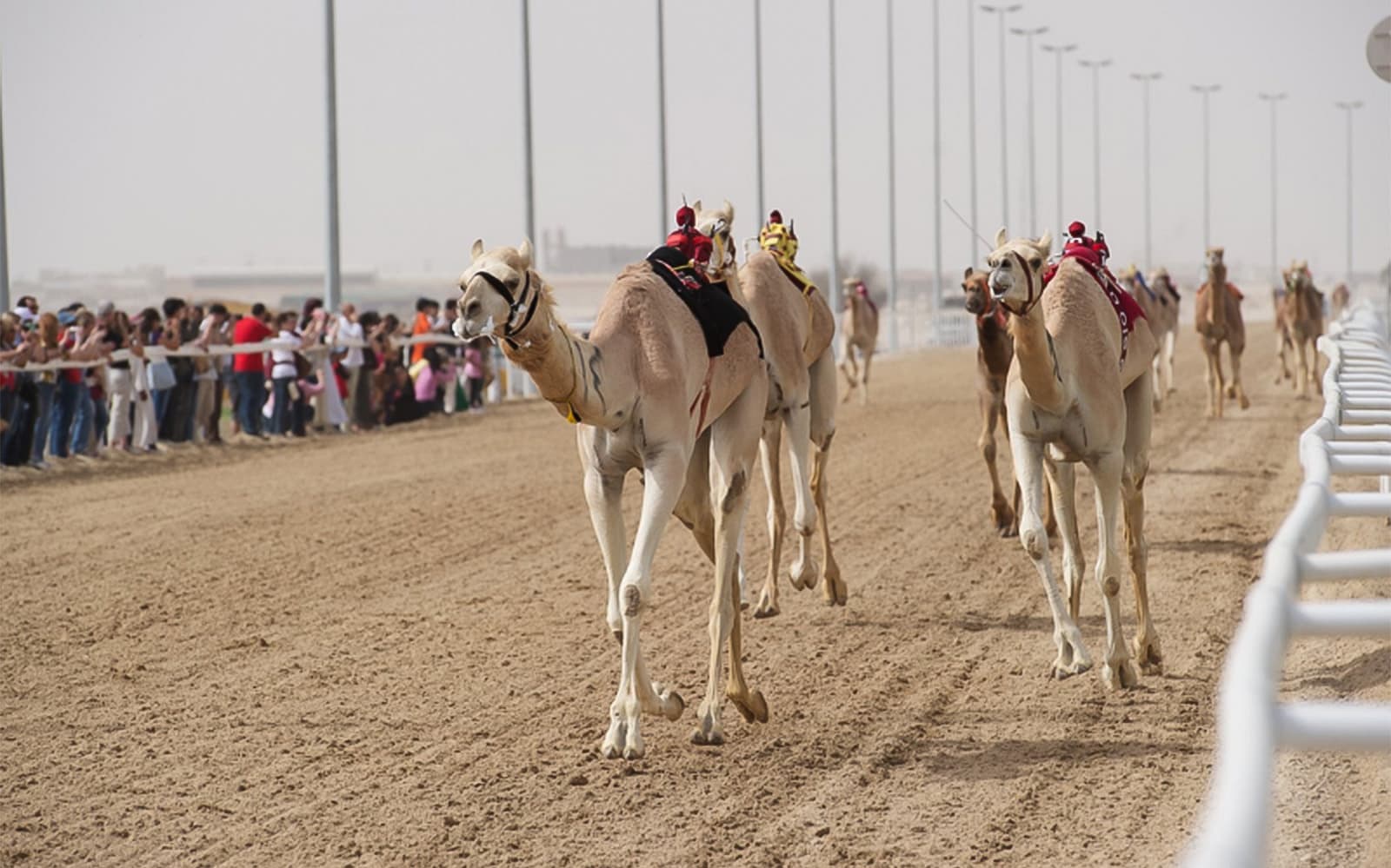 Doha Delights City Tour experience tickets in Doha | TickYourList