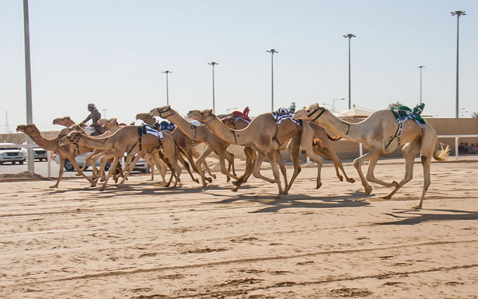Doha Delights City Tour tickets in Doha - Highlights | TickYourList