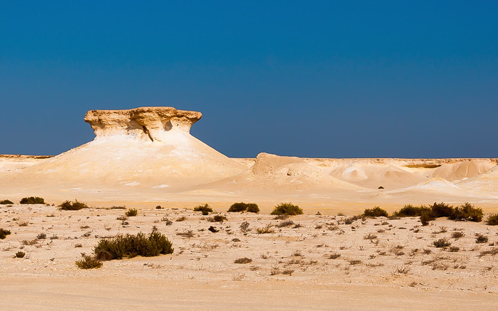 Day Tour of Zekreet Beach, Richard Serra Sculptures & Camel Race Visit
