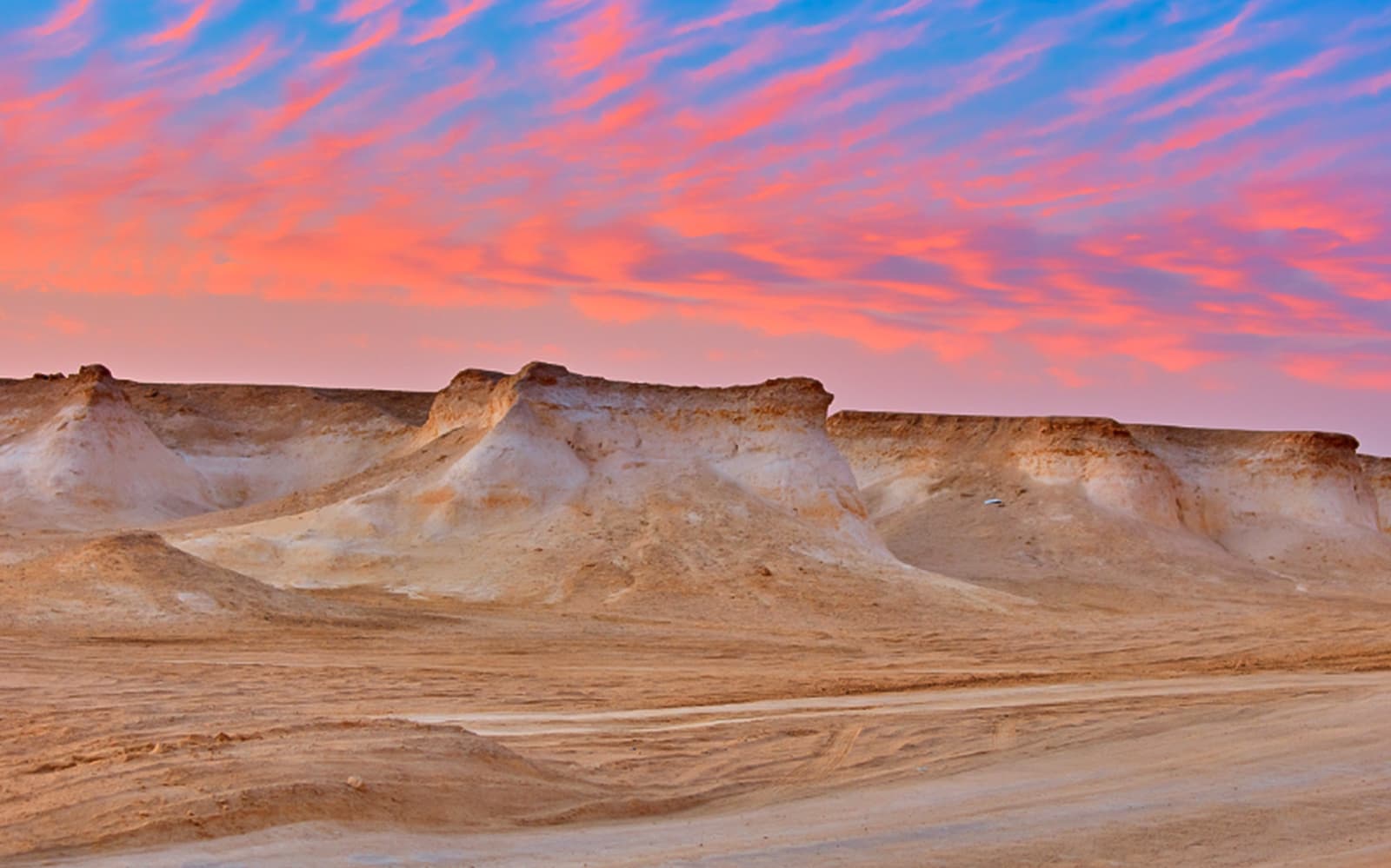 Day Tour of Zekreet Beach, Richard Serra Sculptures & Camel Race Visit tickets in Doha - Highlights | TickYourList