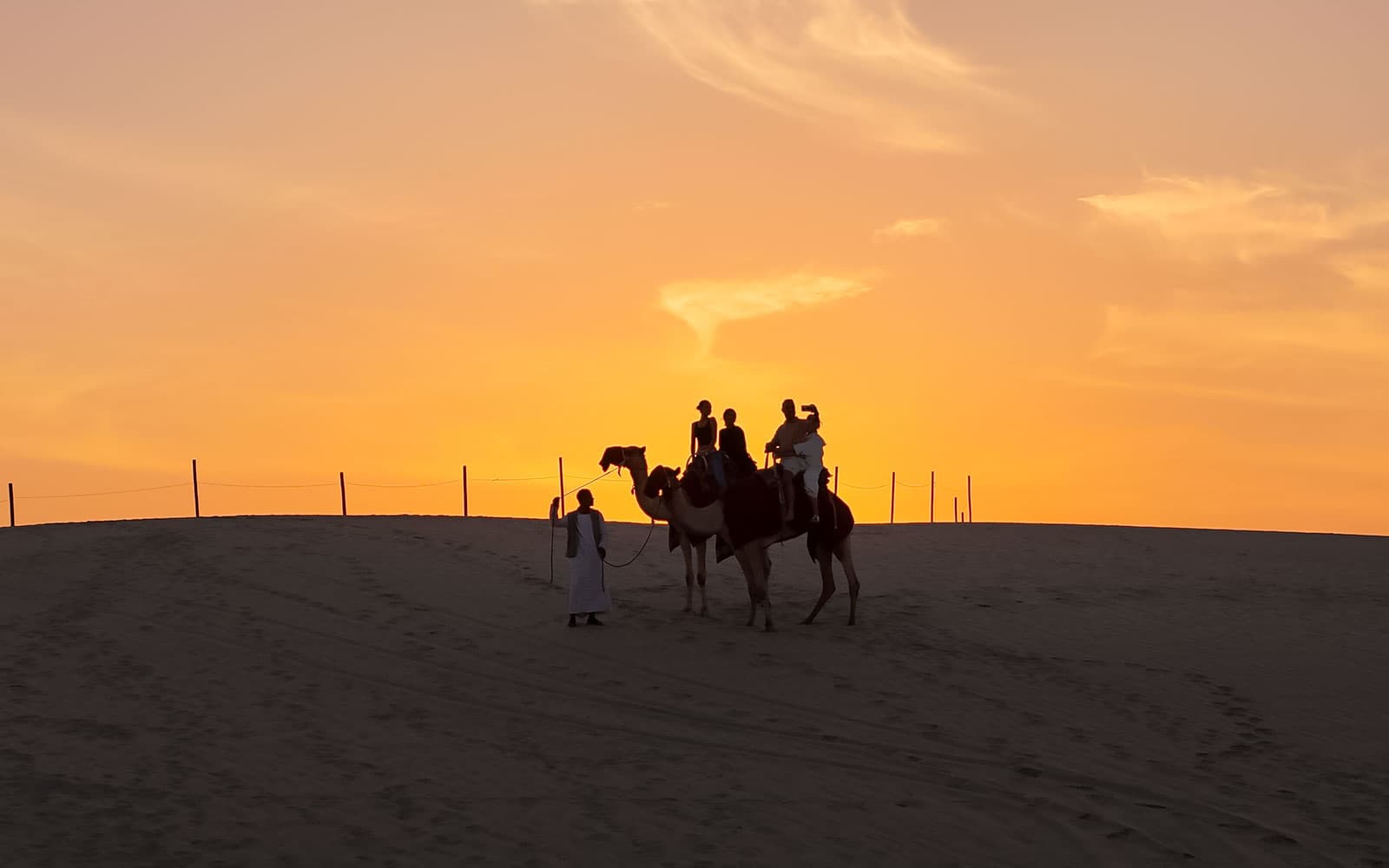 Half-Day Desert Safari with Camel Ride tickets in Doha - Activities | TickYourList
