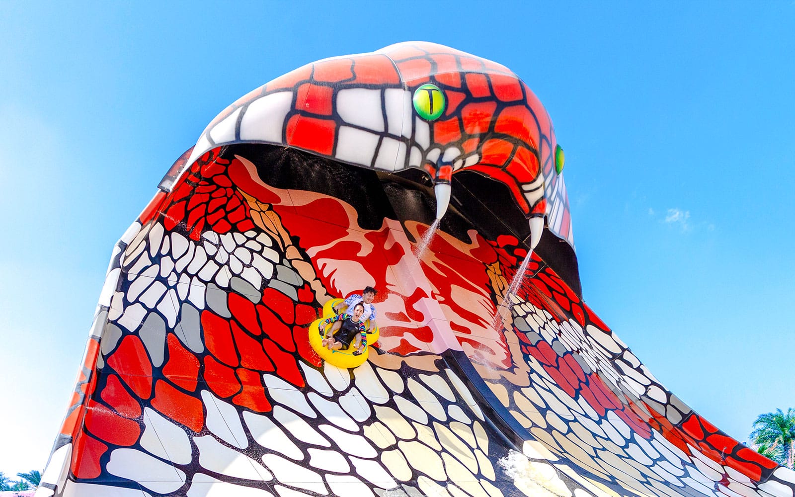 Desert Falls Water & Adventure Park Tickets in Doha - Activities | TickYourList