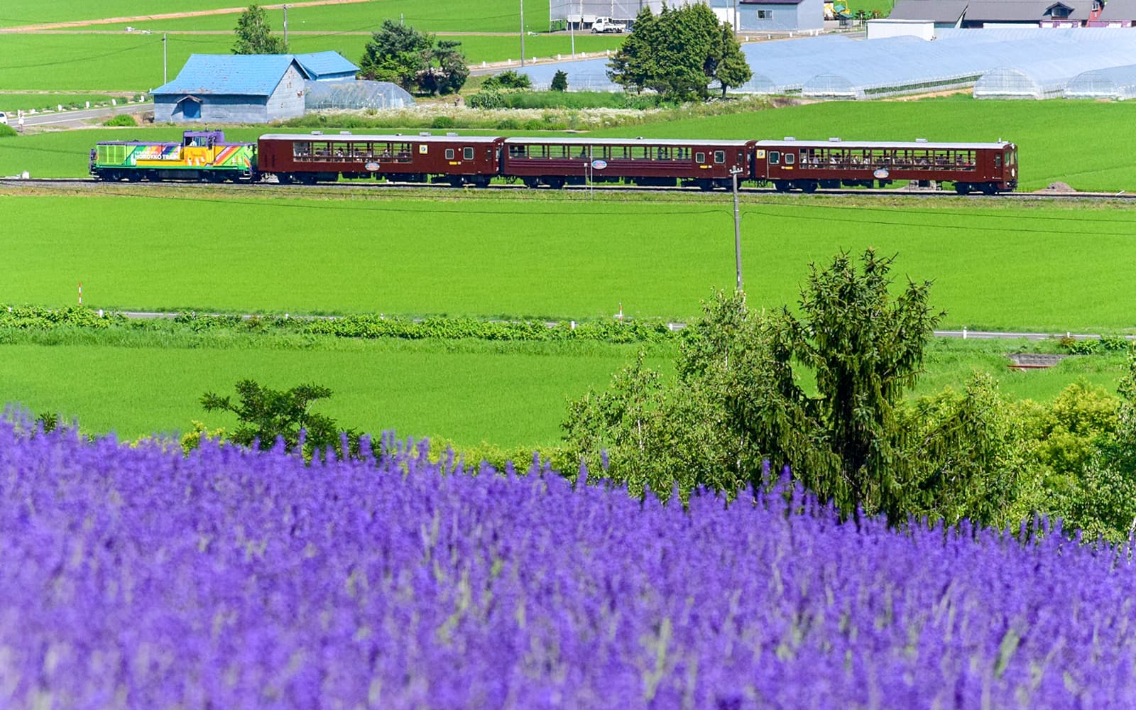 JR Hokkaido Rail Pass tickets in Tokyo - Highlights | TickYourList