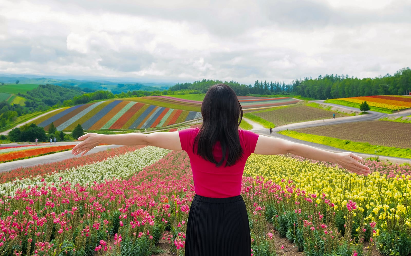 4 Day Hokkaido Sapporo-Furano Area Pass experience tickets in Tokyo | TickYourList