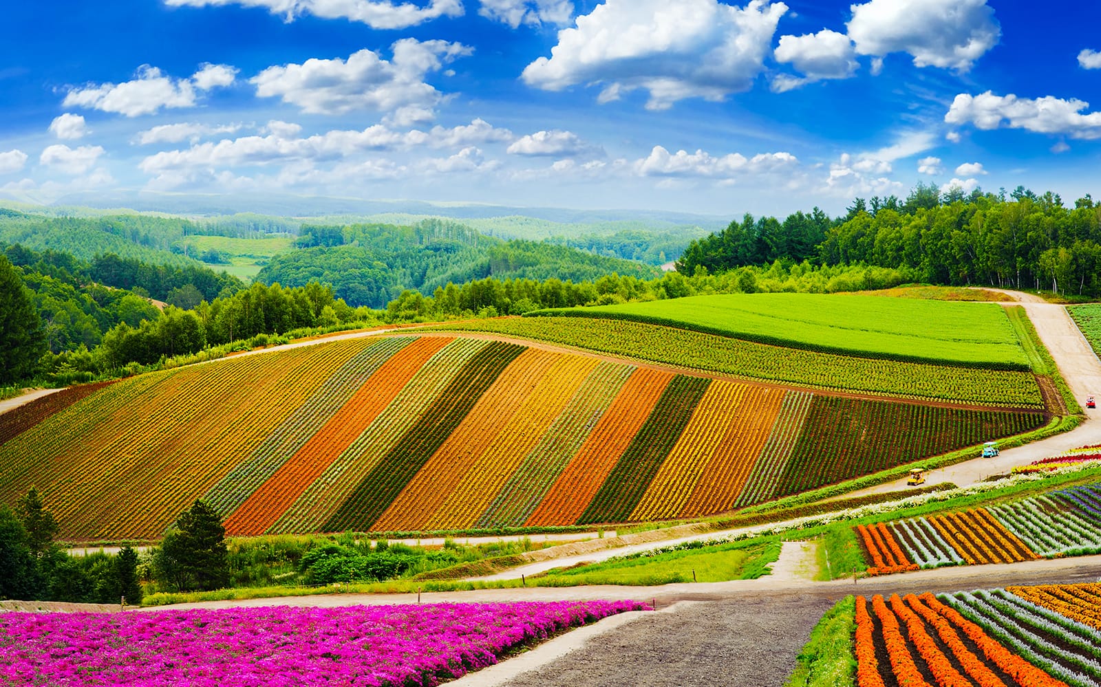 4 Day Hokkaido Sapporo-Furano Area Pass tickets in Tokyo - Attractions | TickYourList