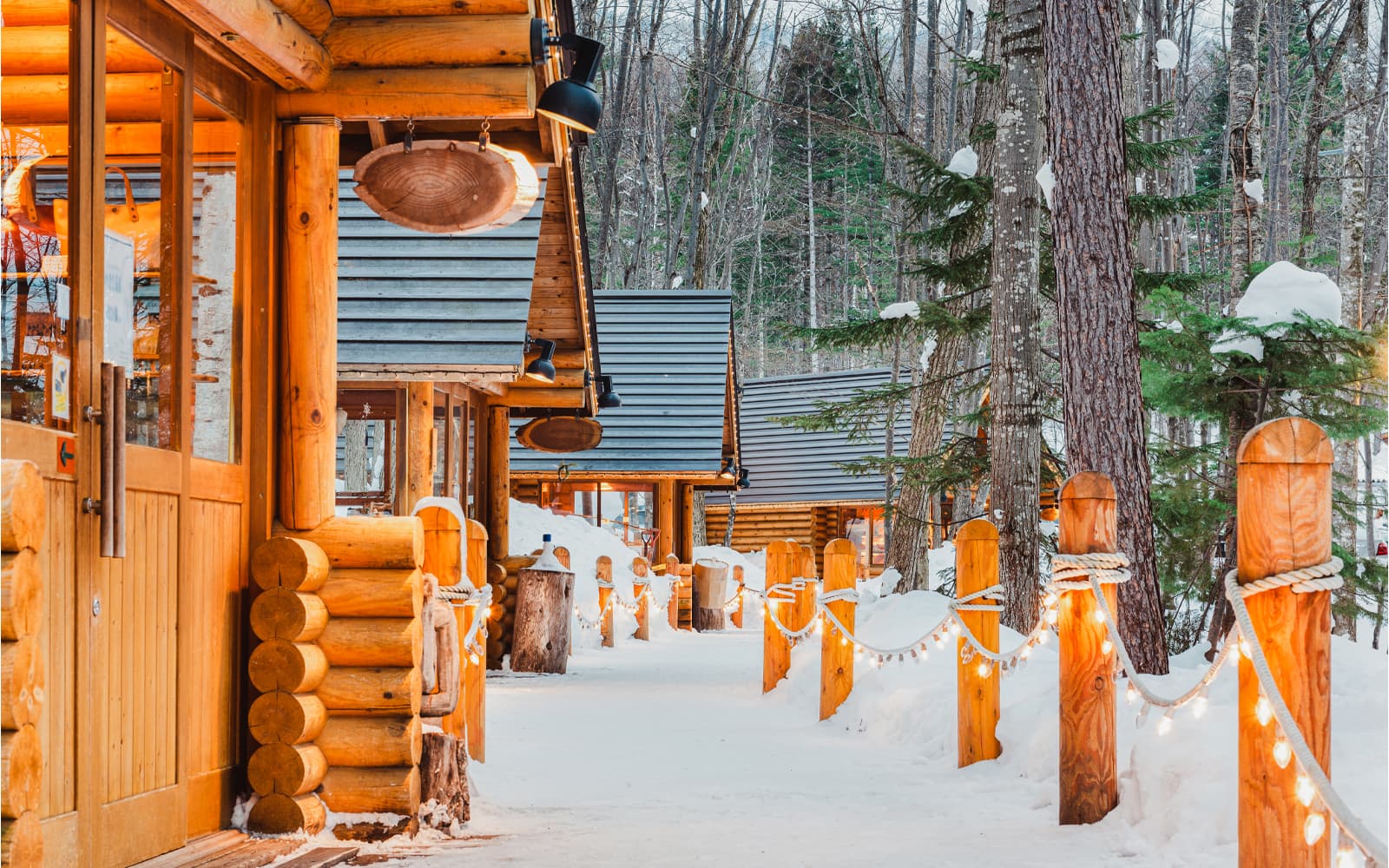 Hokkaido Guided Day Trip: Asahiyama Zoo & Blue Pond & Shirahige Falls tickets in Hokkaido - Activities | TickYourList