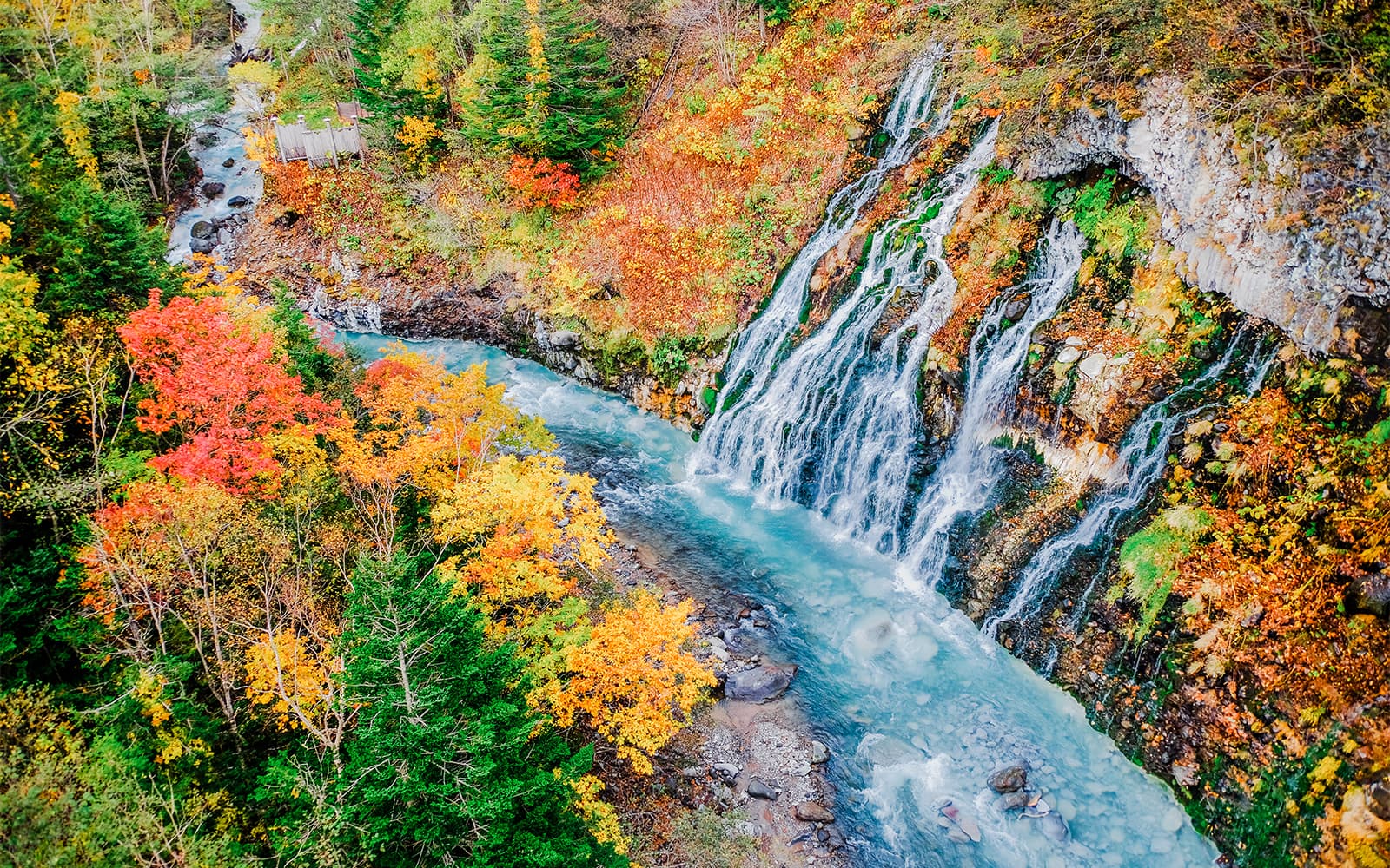 Hokkaido Guided Day Trip: Asahiyama Zoo & Blue Pond & Shirahige Falls tickets in Hokkaido - Highlights | TickYourList