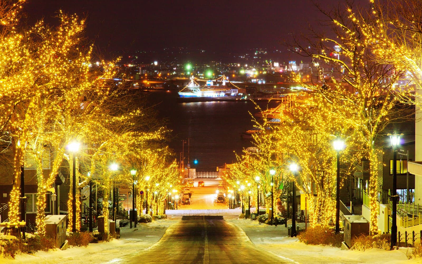 Mt. Hakodate Night View Course from a Chartered Sightseeing Car tickets in Hokkaido - Highlights | TickYourList