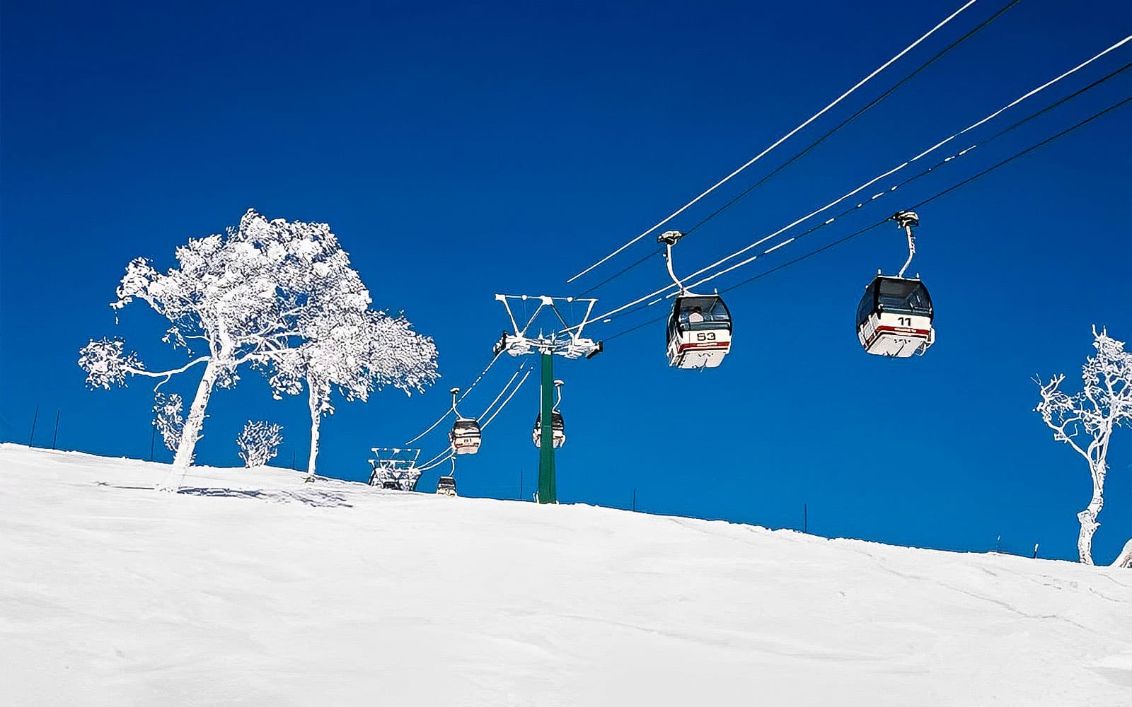 One Way Shuttle Transfers Between New Chitose Airport and Niseko & Rusutsu Resort/Sapporo tickets in Hokkaido - Activities | TickYourList