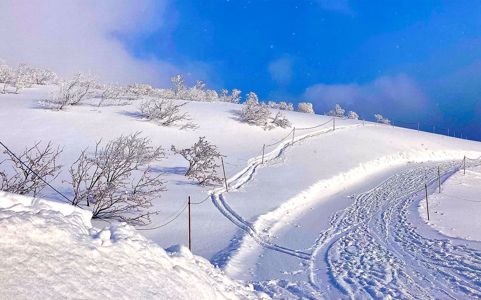 One Way Shuttle Transfers Between New Chitose Airport and Niseko & Rusutsu Resort/Sapporo tickets in Hokkaido - Full Experience | TickYourList