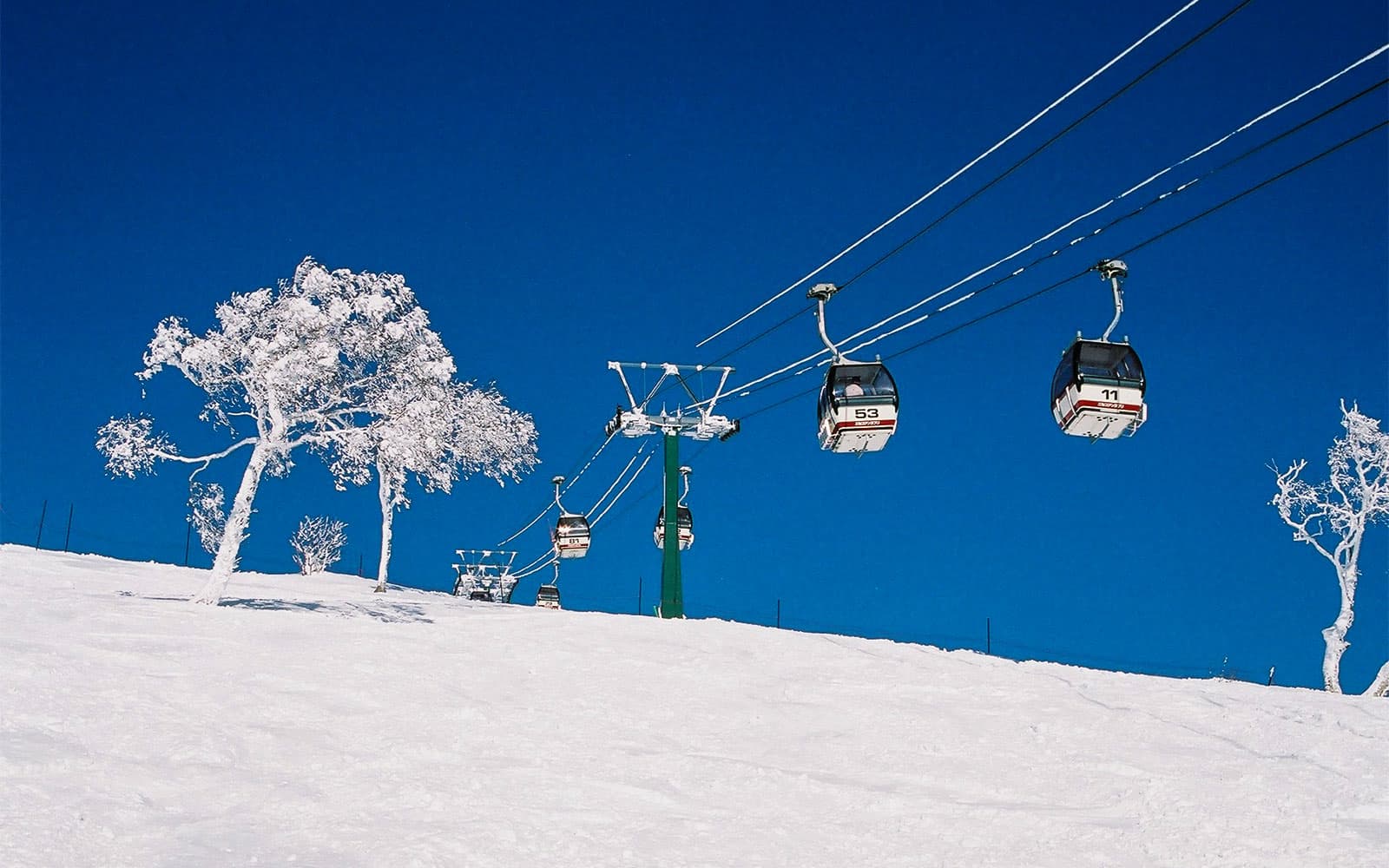 Roundtrip Bus Transfer from Sapporo Hotels to Rusutsu + 1-Day Ski Lift Pass tickets in Hokkaido - Activities | TickYourList