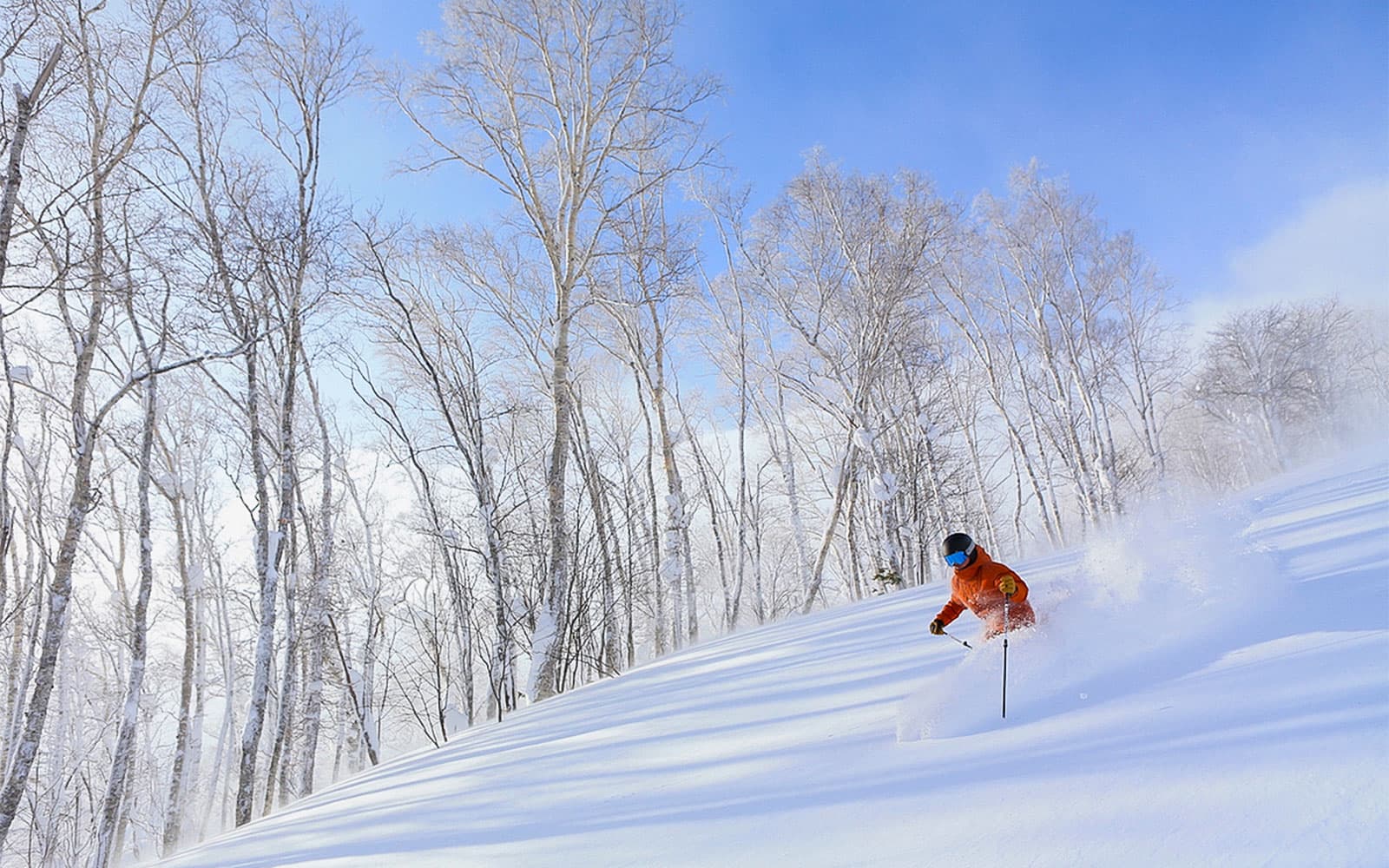 Roundtrip Bus Transfer from Sapporo Hotels to Rusutsu + 1-Day Ski Lift Pass tickets in Hokkaido - Highlights | TickYourList