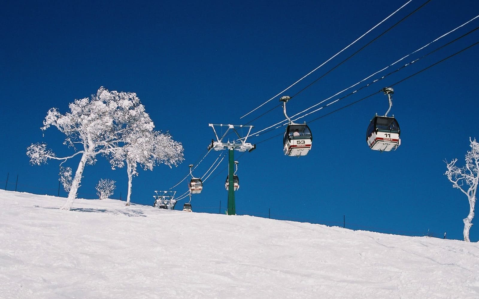 Sapporo Hotels - Niseko Roundtrip Bus Ticket + Ski Lift Pass