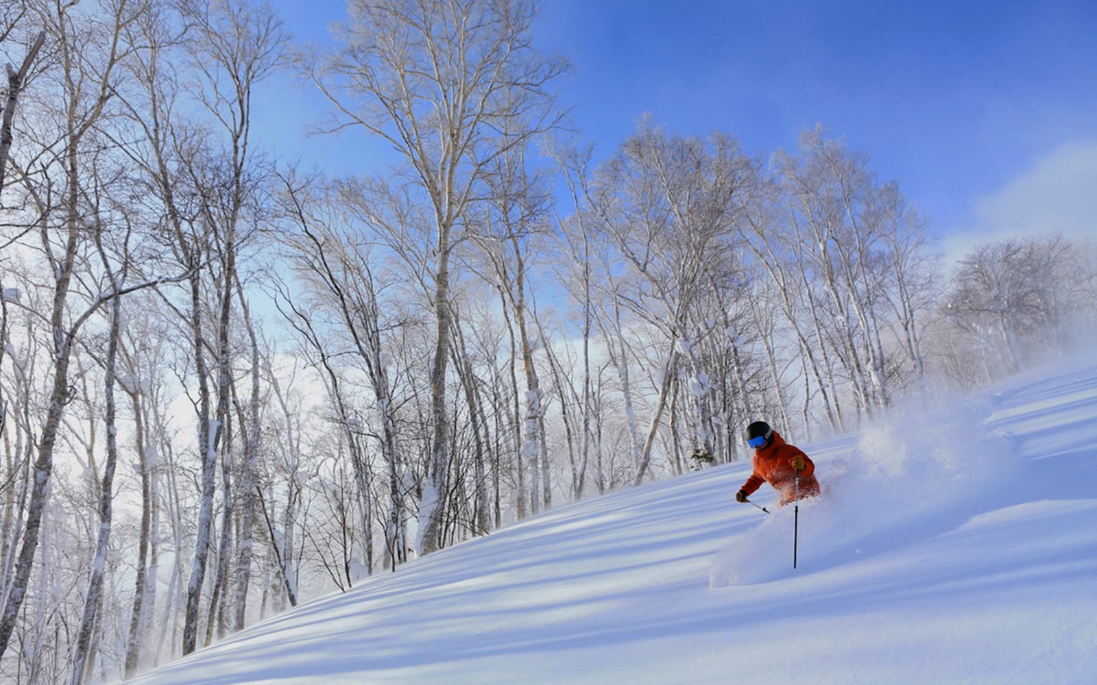 Sapporo Hotels - Niseko Roundtrip Bus Ticket + Ski Lift Pass in Hokkaido - Attractions | TickYourList