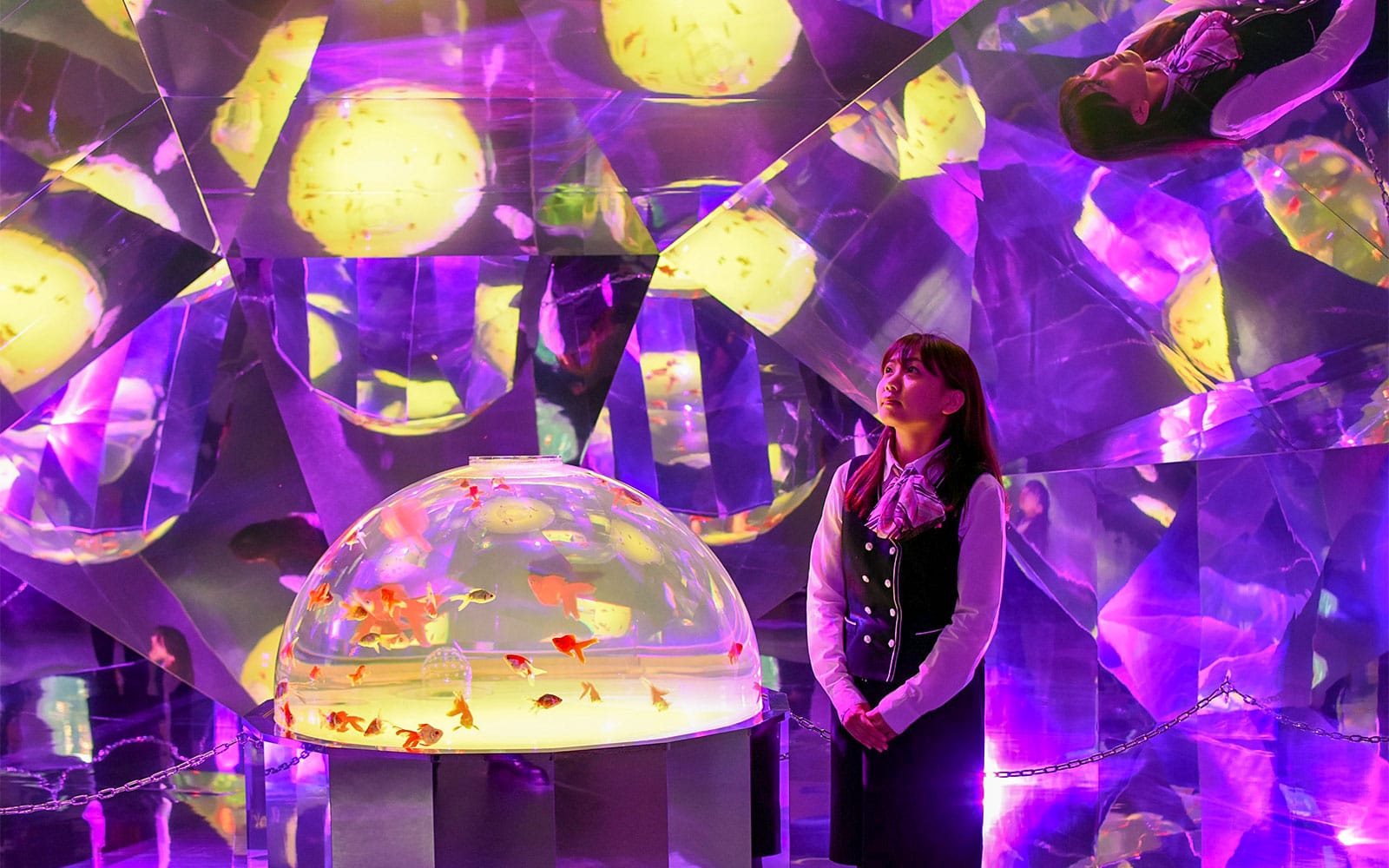 Tickets to Noboribetsu Marine Park NIXE experience in Hokkaido | TickYourList