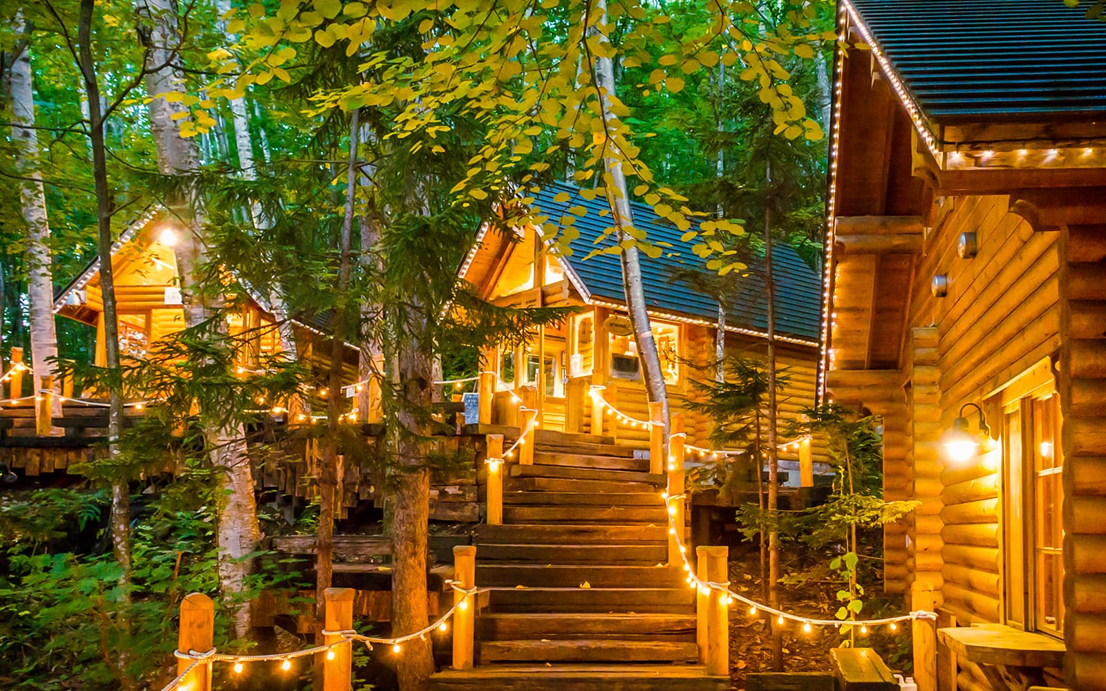 Full-Day Guided Tour of Hokkaido with Round-Trip Transfers from Sapporo tickets in Hokkaido - Highlights | TickYourList