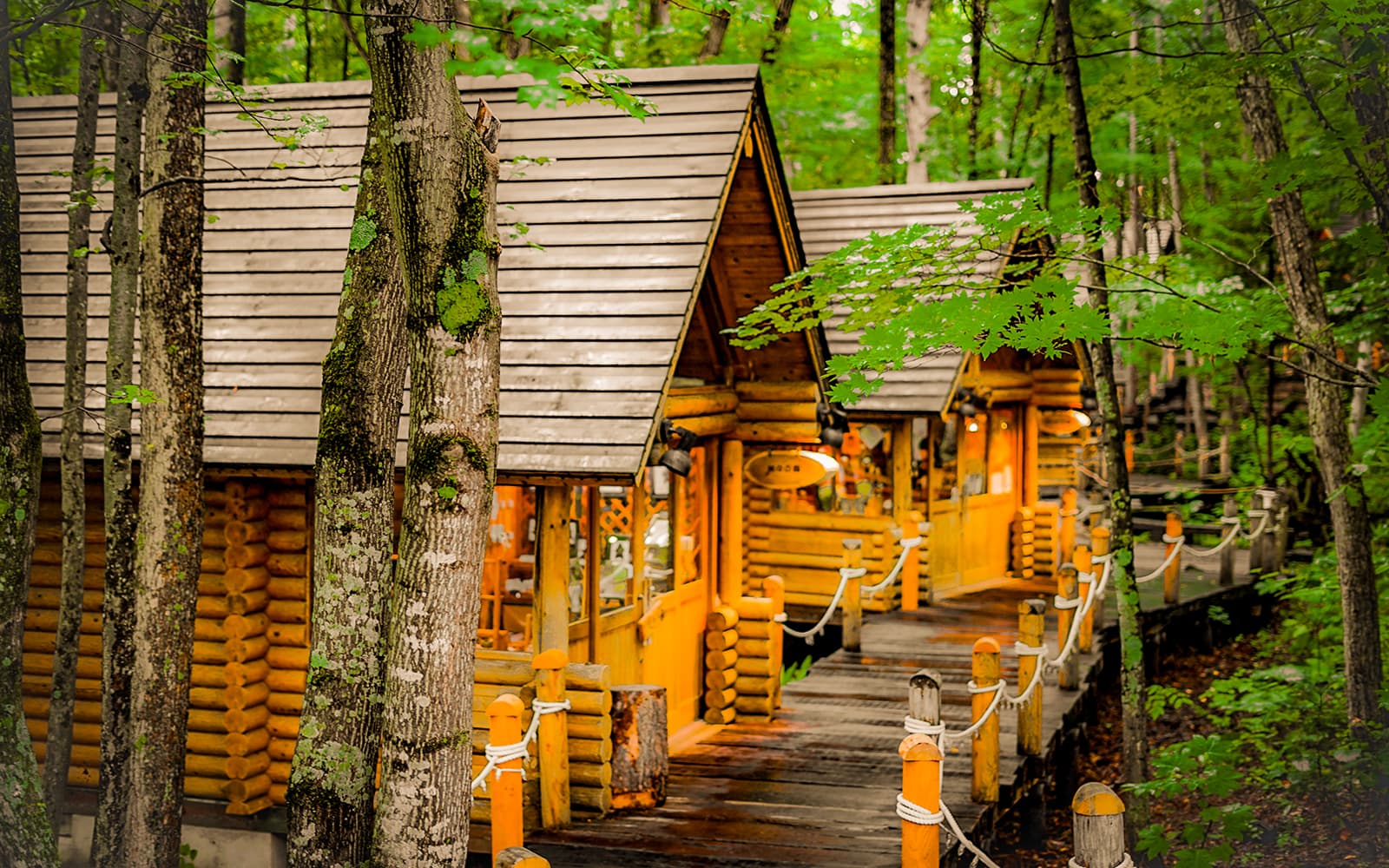 Full-Day Guided Tour of Hokkaido with Round-Trip Transfers from Sapporo tickets in Hokkaido - Features | TickYourList