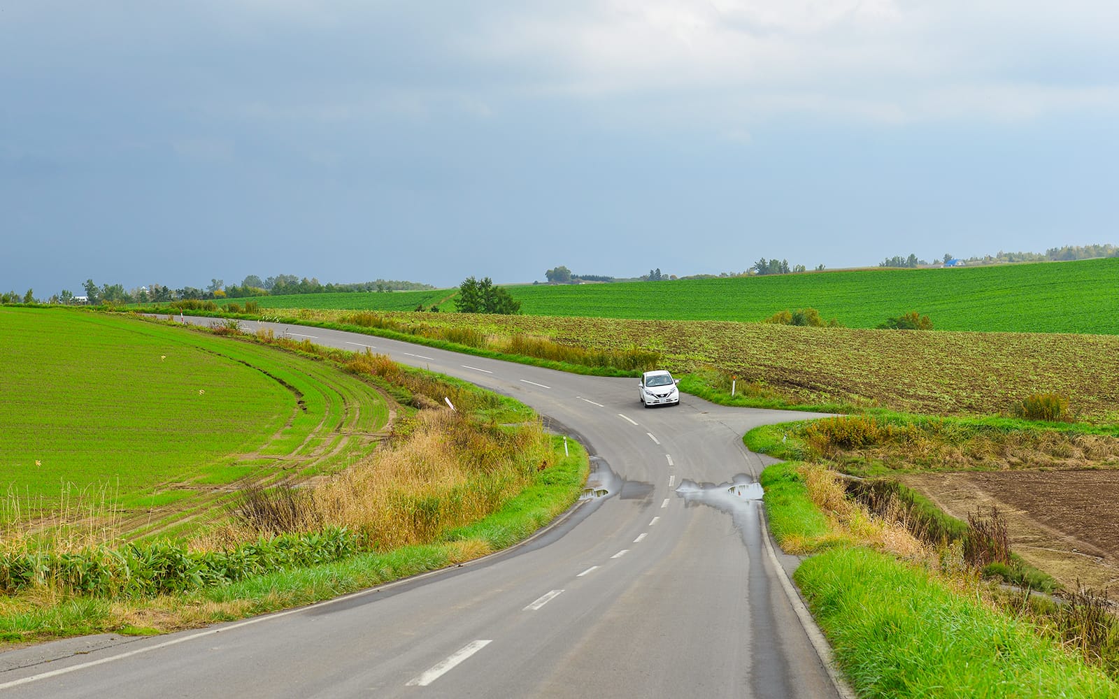 1-Day Guided Tour of Hokkaido Biei Blue Pond & Furano Flower Fields tickets in Hokkaido - Attractions | TickYourList
