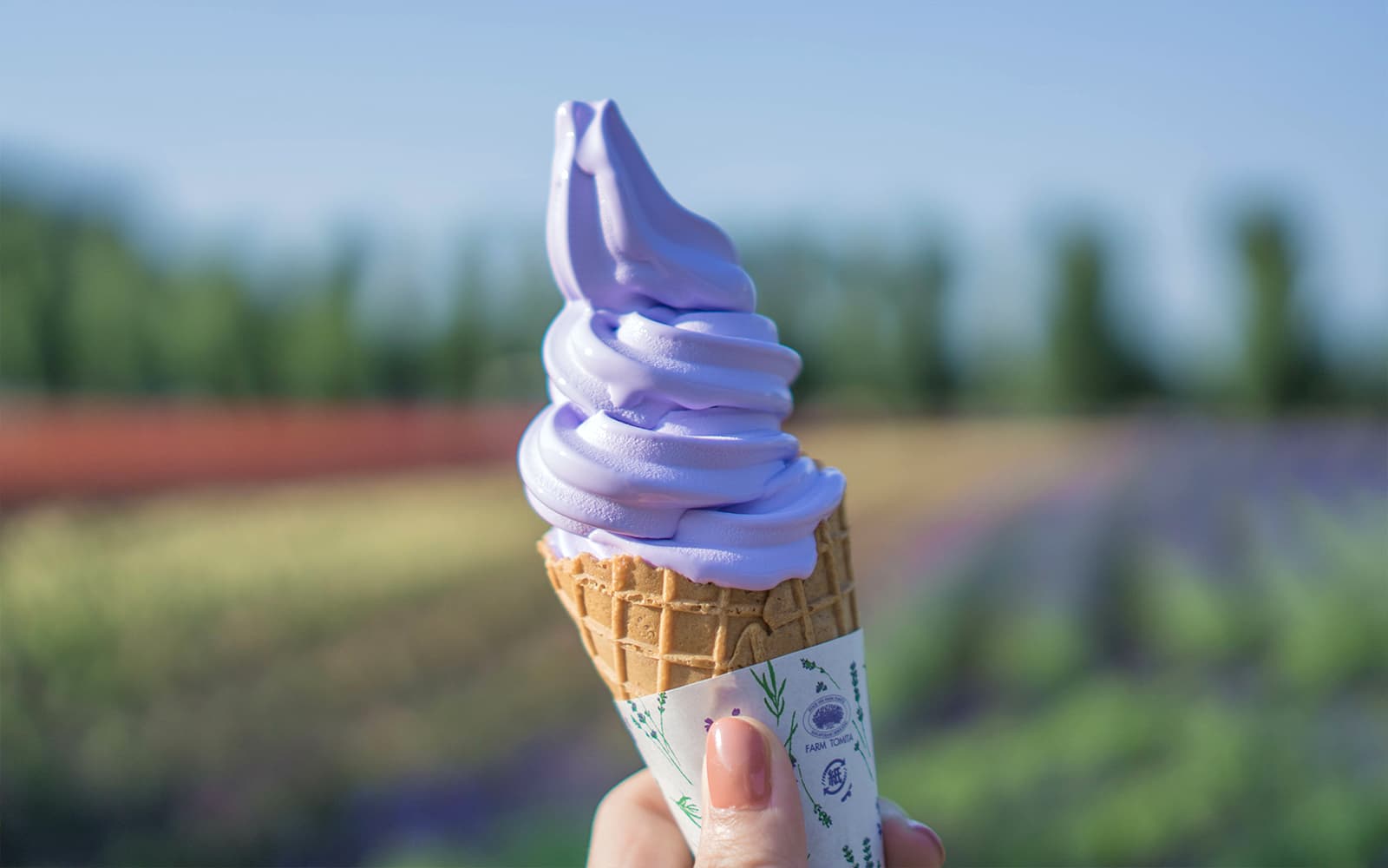1-Day Guided Tour of Hokkaido Biei Blue Pond & Furano Flower Fields tickets in Hokkaido - Features | TickYourList