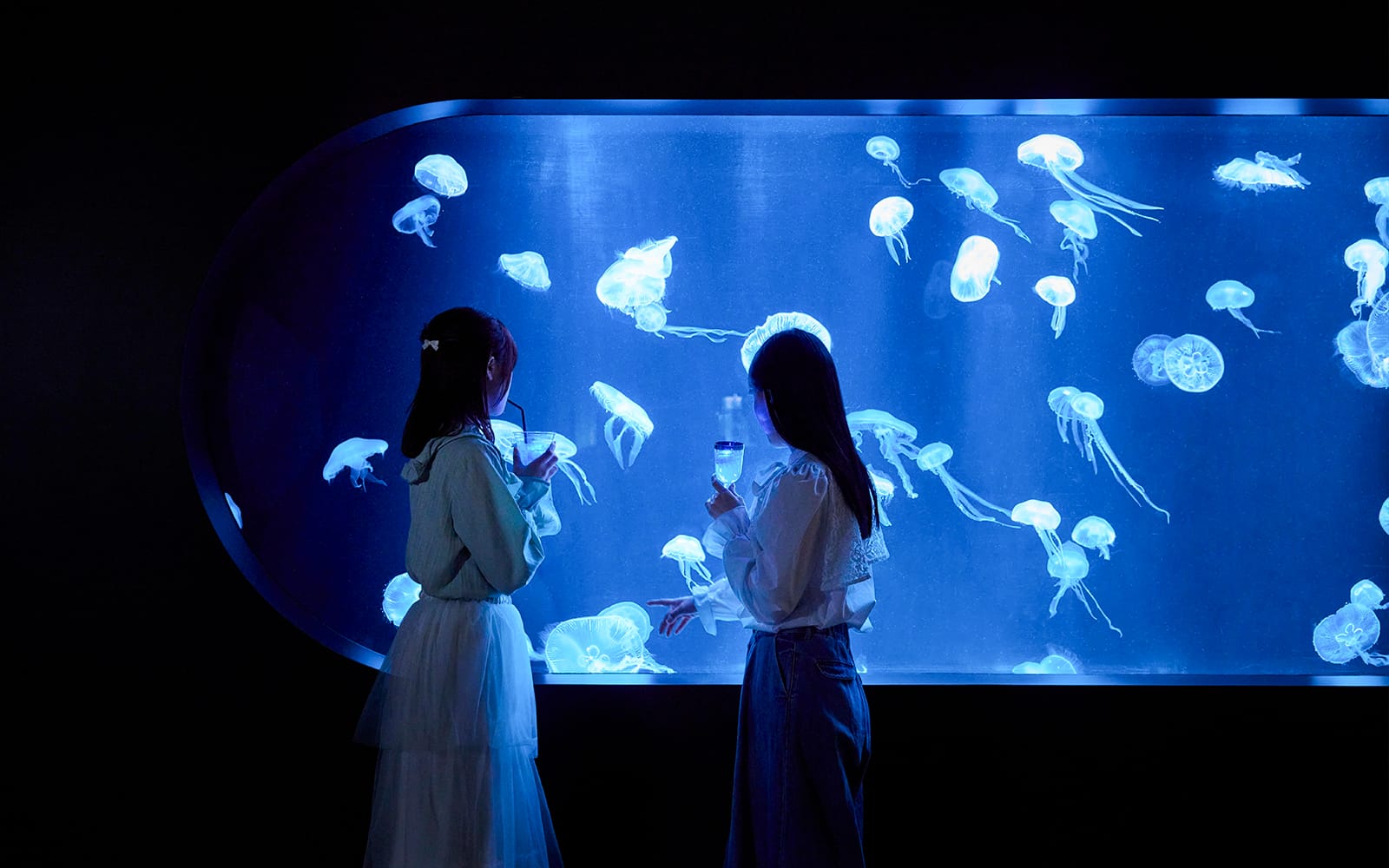 Tickets to AOAO SAPPORO experience in Hokkaido | TickYourList