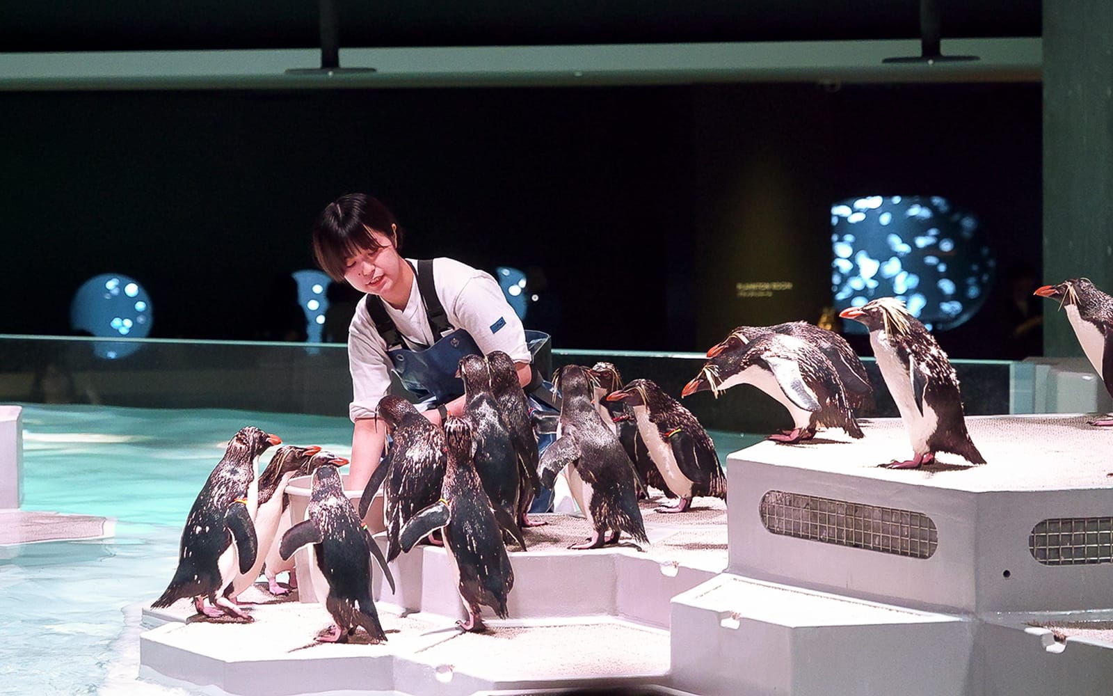 Tickets to AOAO SAPPORO in Hokkaido - Attractions | TickYourList