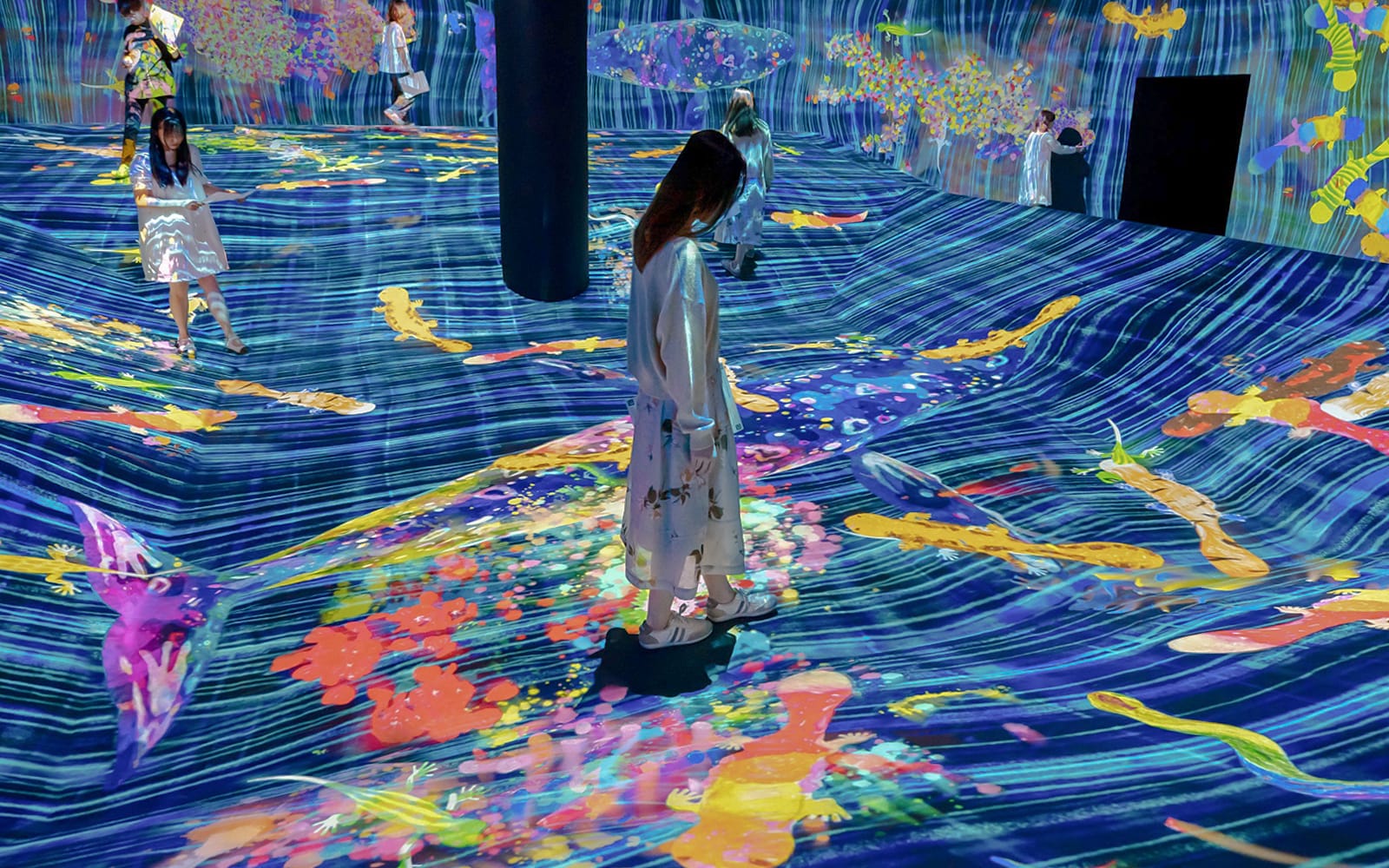 TeamLab Future Park Hong Kong Tickets experience in Hong Kong | TickYourList