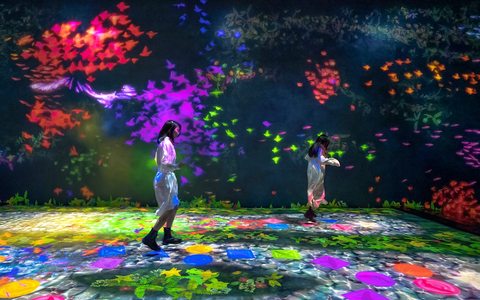 TeamLab Future Park Hong Kong Tickets in Hong Kong - Attractions | TickYourList