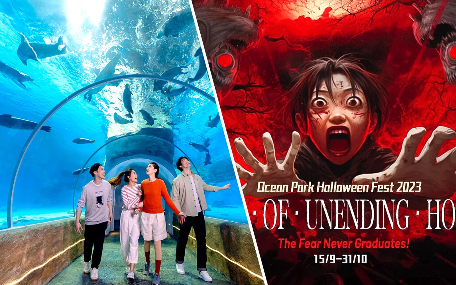 Combo: Ocean Park + Halloween Haunted Trio Tickets
