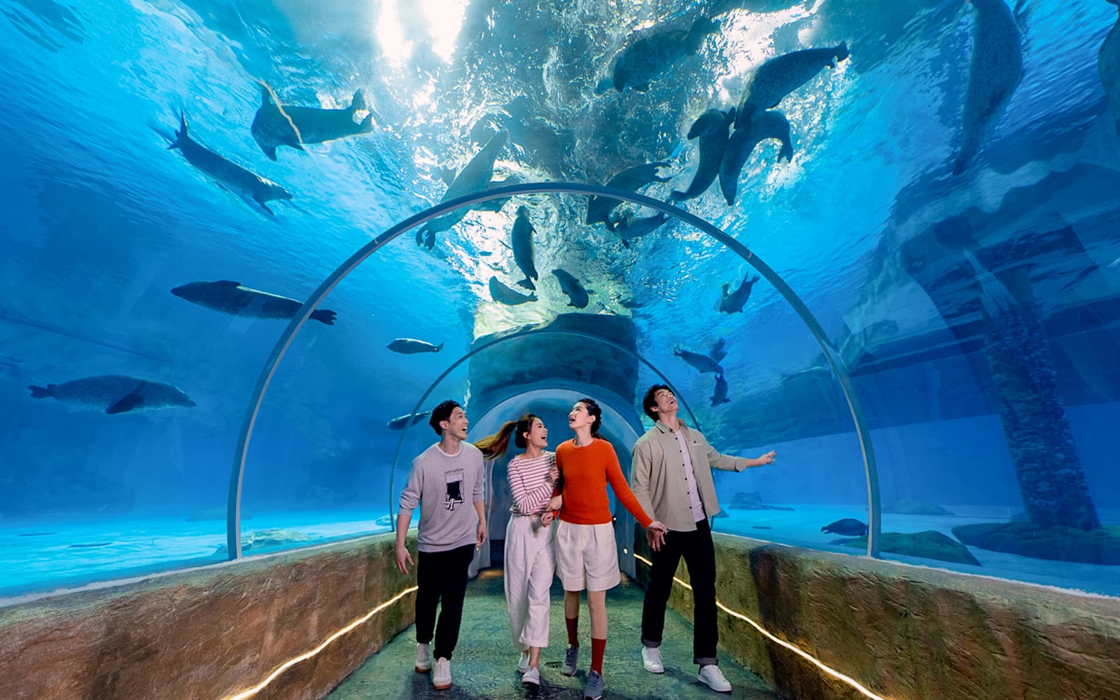 Combo: Ocean Park + Halloween Haunted Trio Tickets in Hong Kong - Attractions | TickYourList