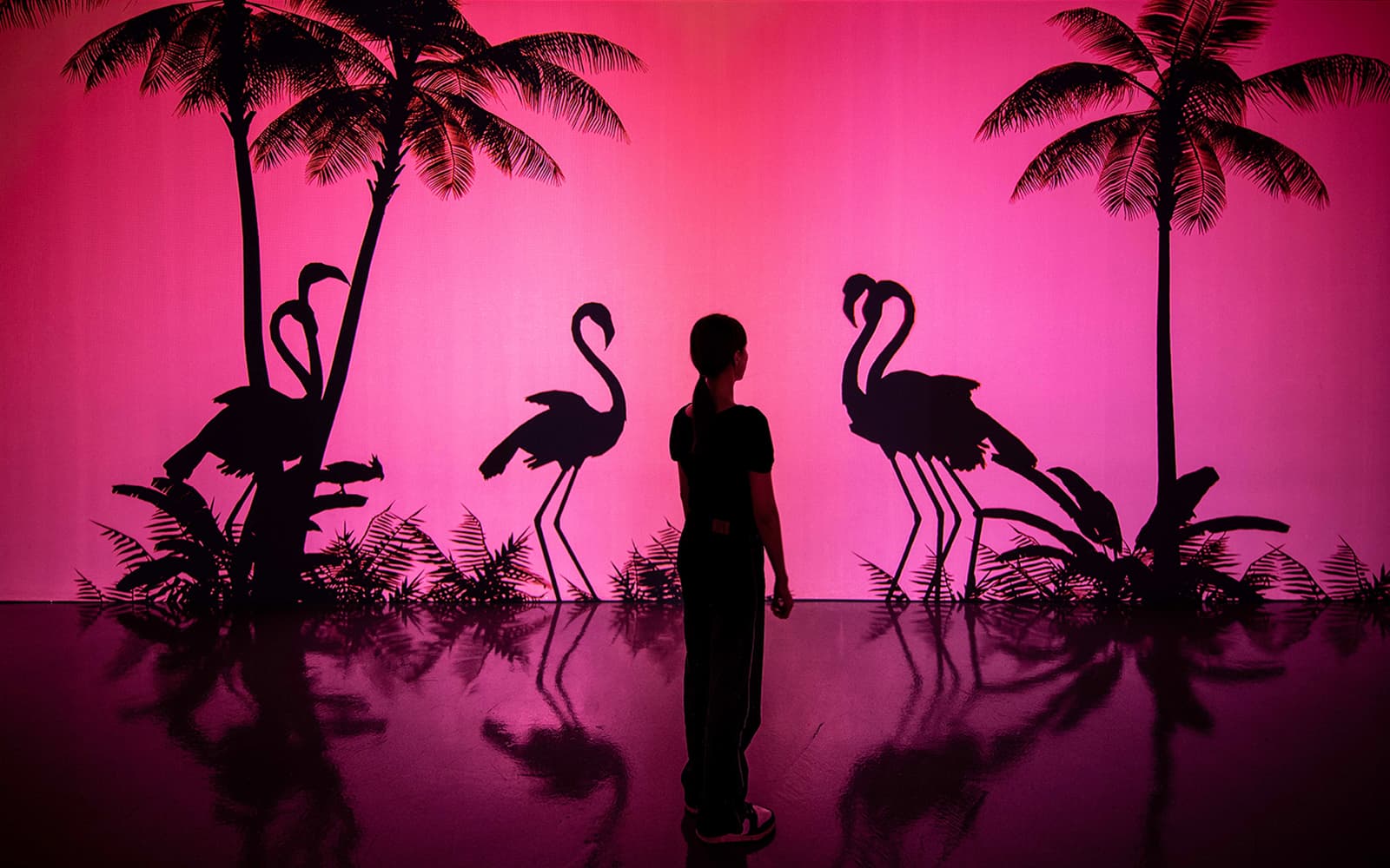 ARTE M Hong Kong Tickets in Hong Kong - Attractions | TickYourList