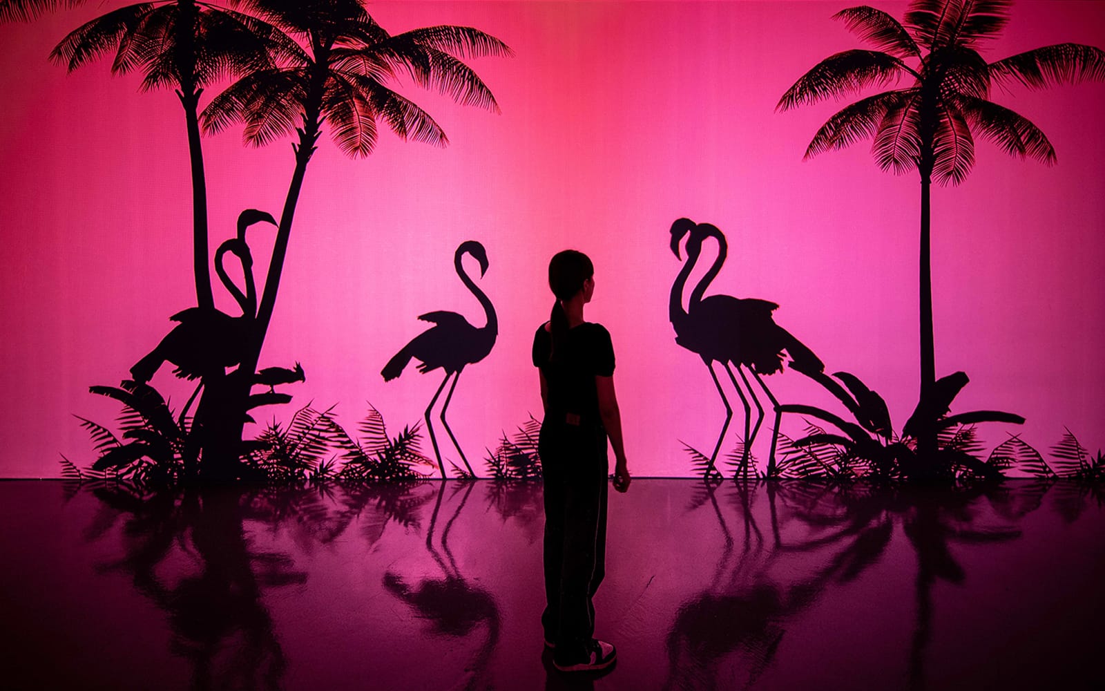 ARTE M Hong Kong Tickets in Hong Kong - Attractions | TickYourList