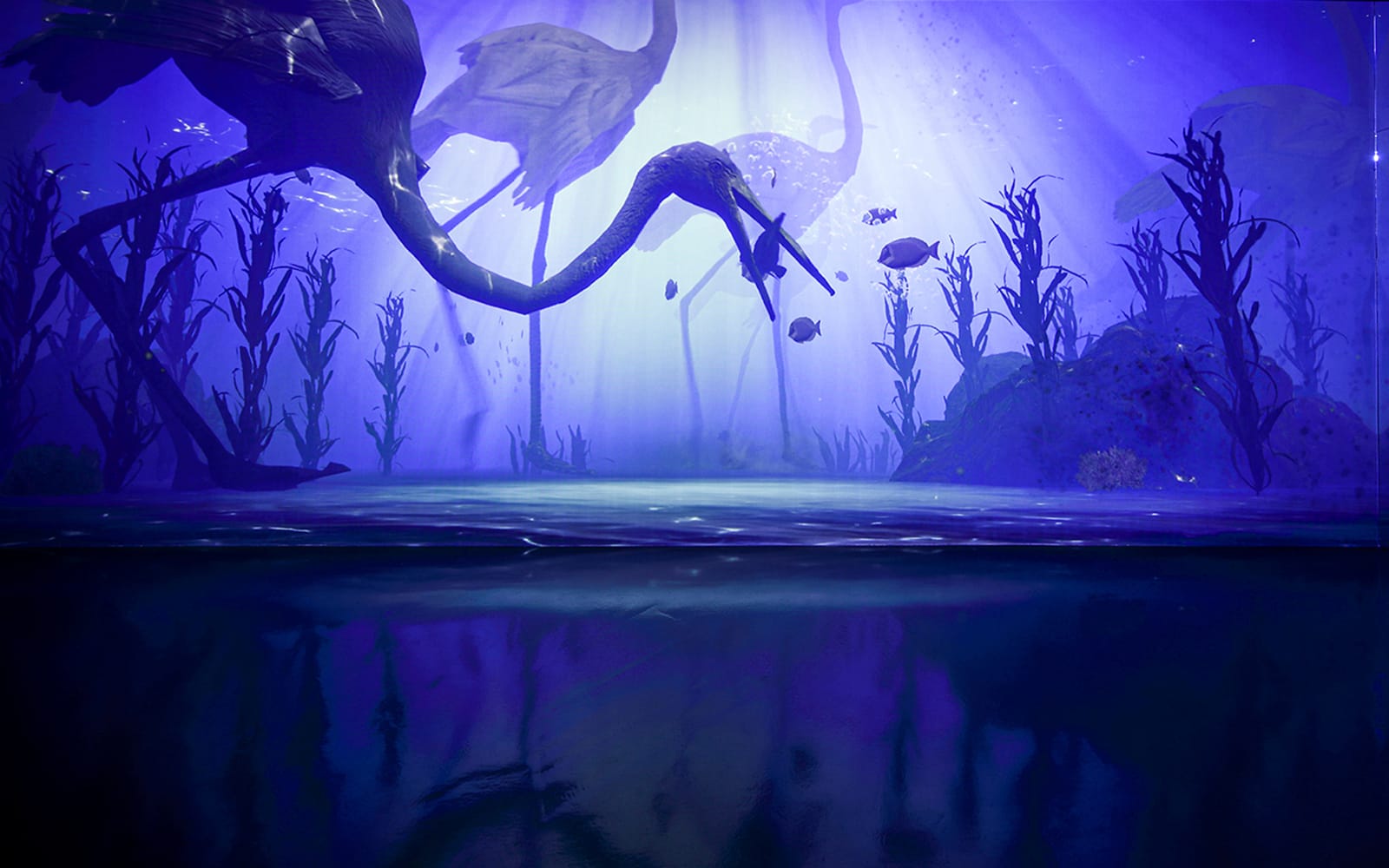 ARTE M Hong Kong Tickets in Hong Kong - Highlights | TickYourList