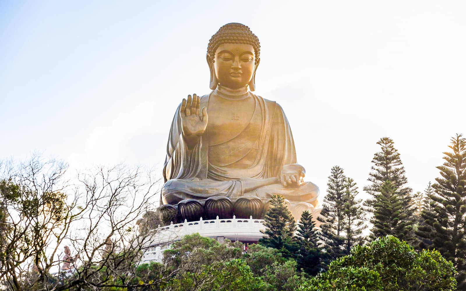 Lantau Guided Private Coach Tour tickets in Hong Kong - Activities | TickYourList