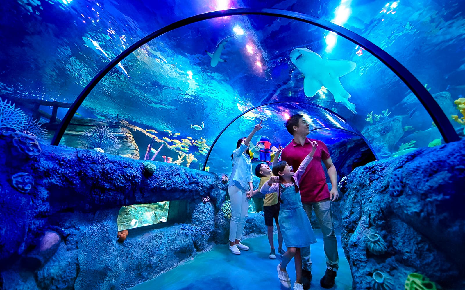 LEGOLAND® Malaysia SEA LIFE