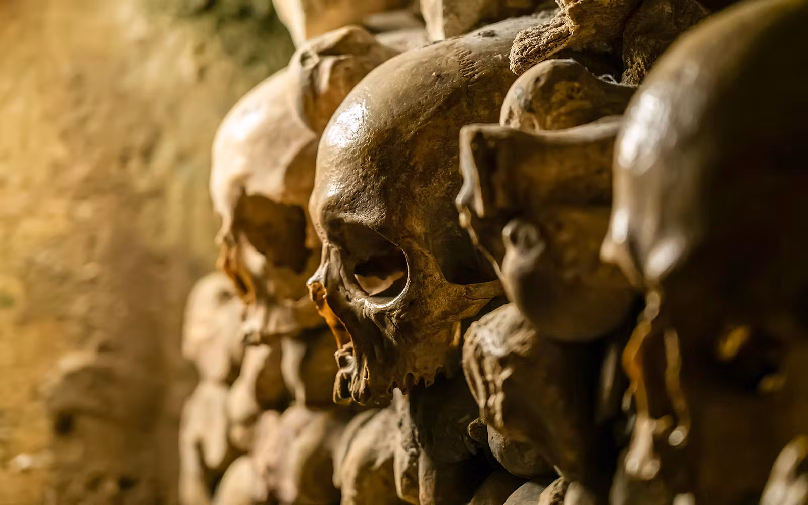 Paris Catacombs Guided Tour tickets in Paris - Highlights | TickYourList