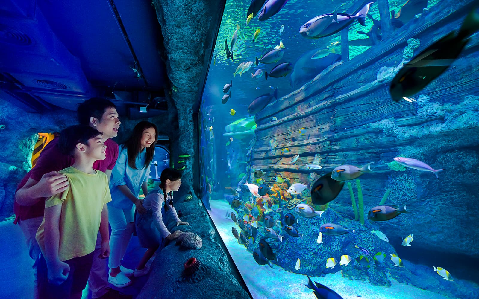 LEGOLAND® Malaysia Theme Park tickets in Johor Bahru - Highlights | TickYourList