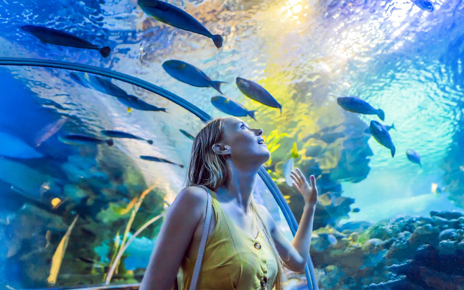 Langkawi Underwater World Tickets experience in Langkawi | TickYourList