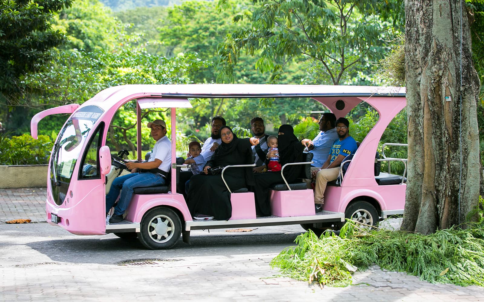 Zoo Negara & Panda Conservation Centre Tickets in Kuala Lumpur - Activities | TickYourList