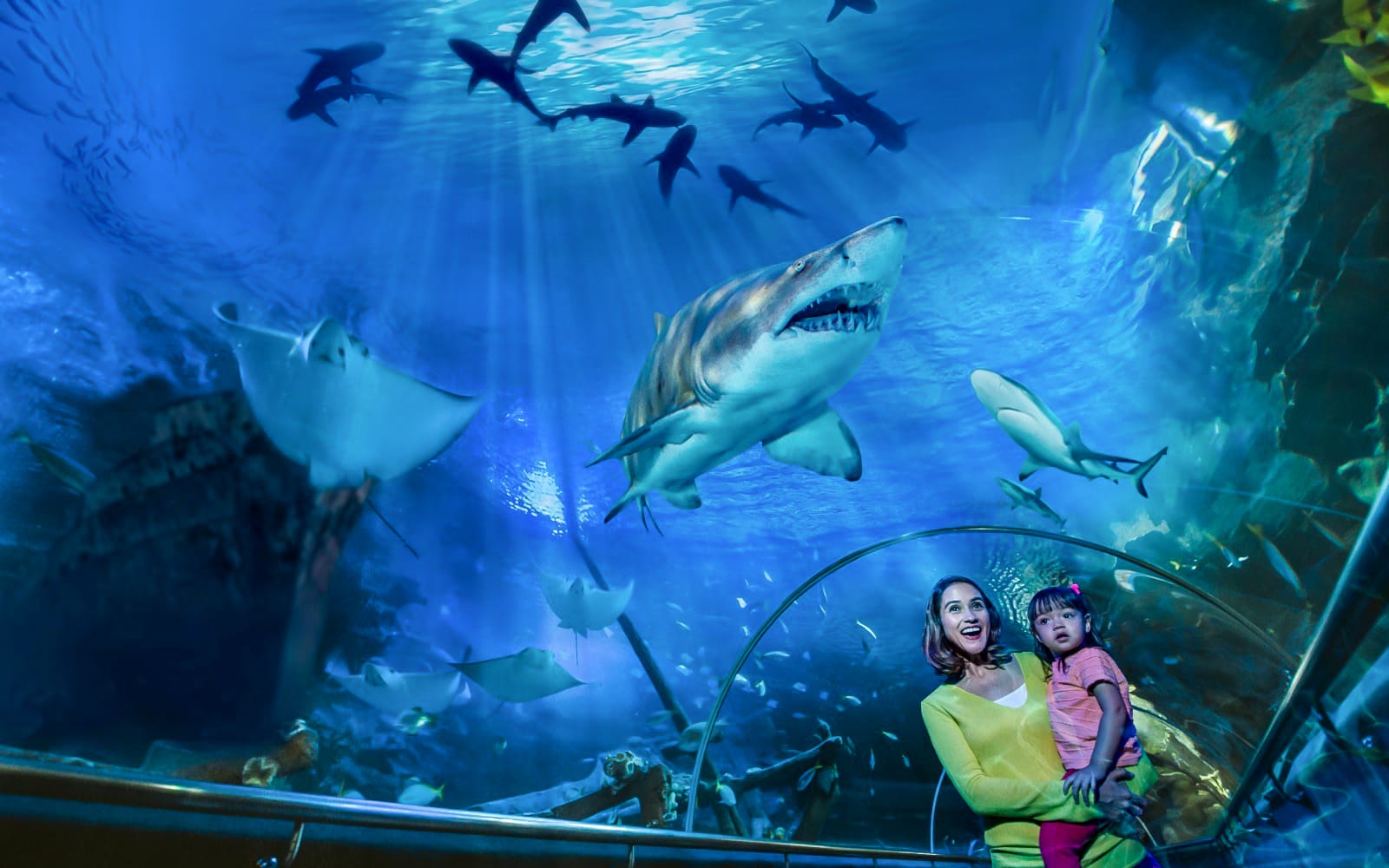 Combo: Aquaria KLCC Tickets + Kuala Lumpur Hop-On Hop-Off Bus Tour in Kuala Lumpur - Attractions | TickYourList